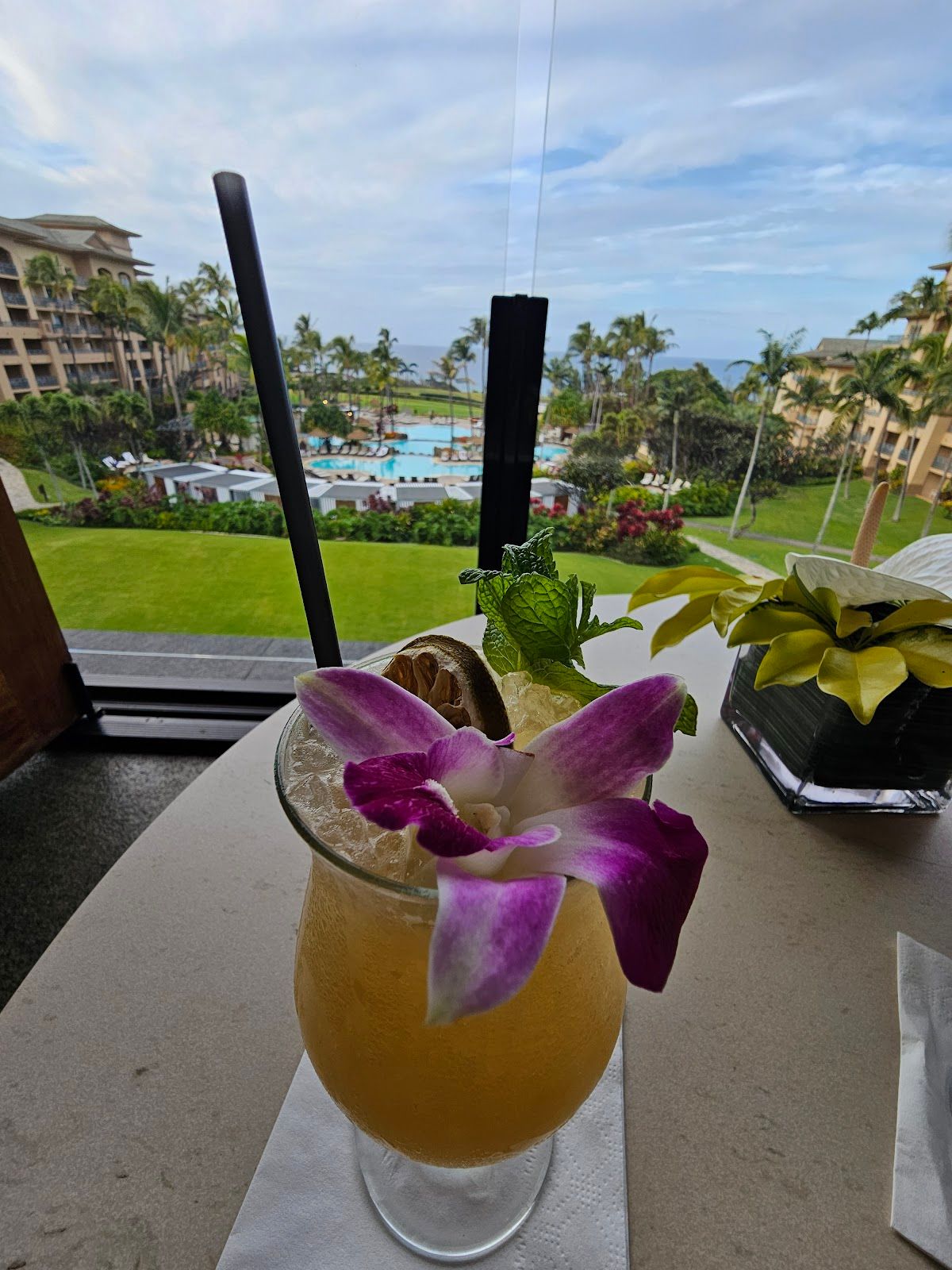 Photo 2 of Ulana Terrace in Kapalua, Maui