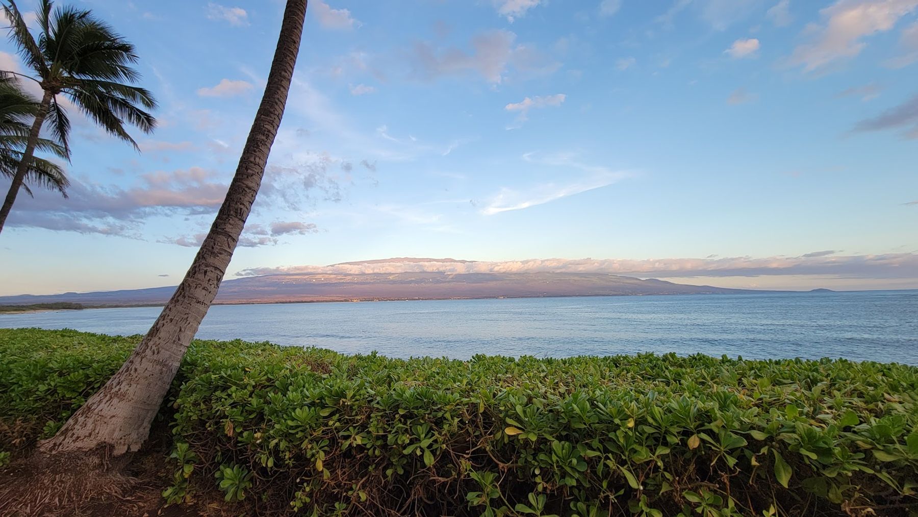 Photo 7 of Maui Island Sands Resort in Māʻalaea, Maui