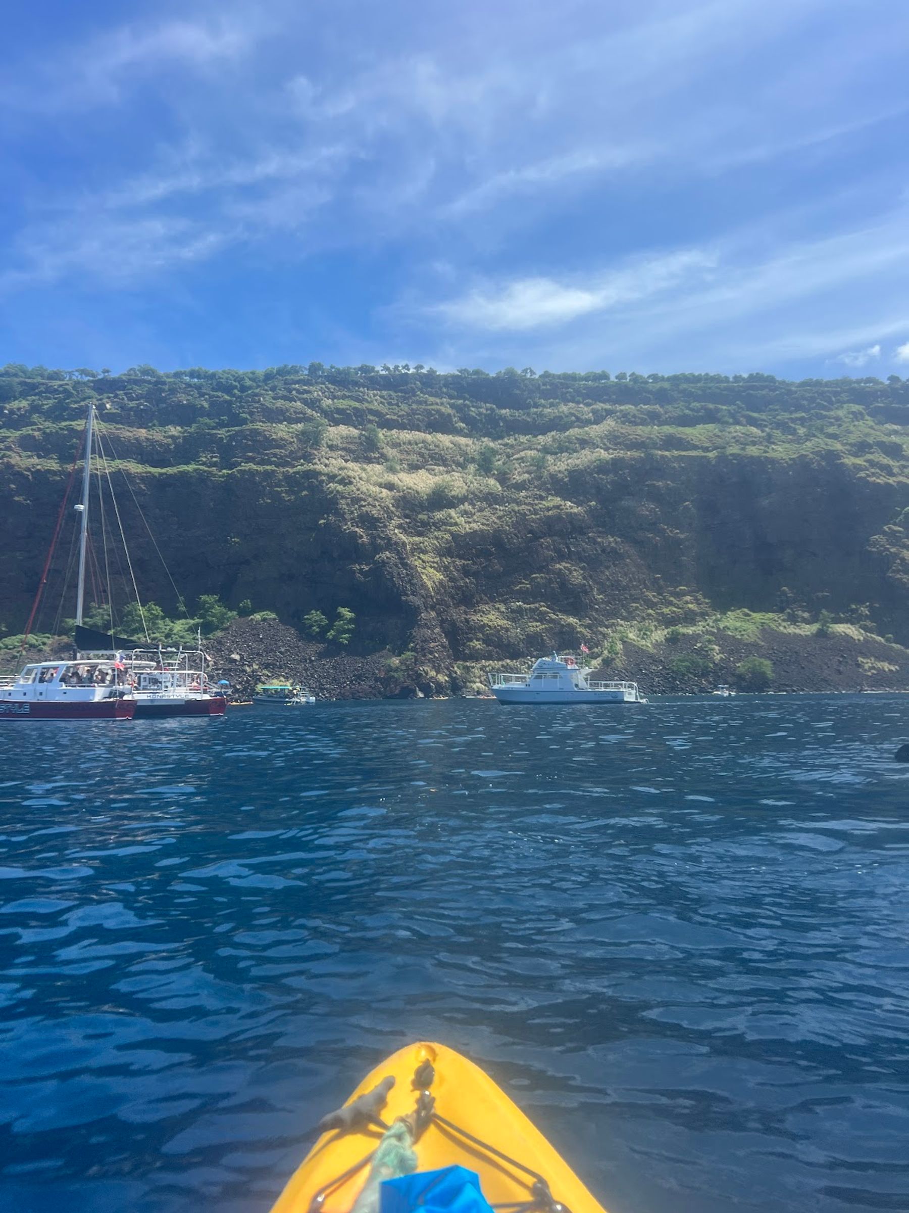 Photo 2 of Adventures In Paradise Snorkel Tours in Kailua-Kona, Big Island
