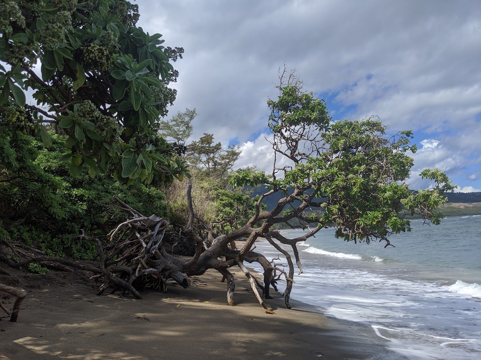 Photo 3 of Waihe'e Beach in Wailuku, Maui