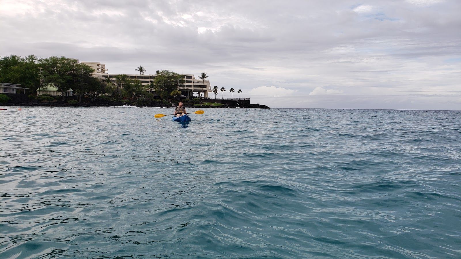 Photo 8 of Ocean Safaris Kayak Adventures in Kailua-Kona, Big Island