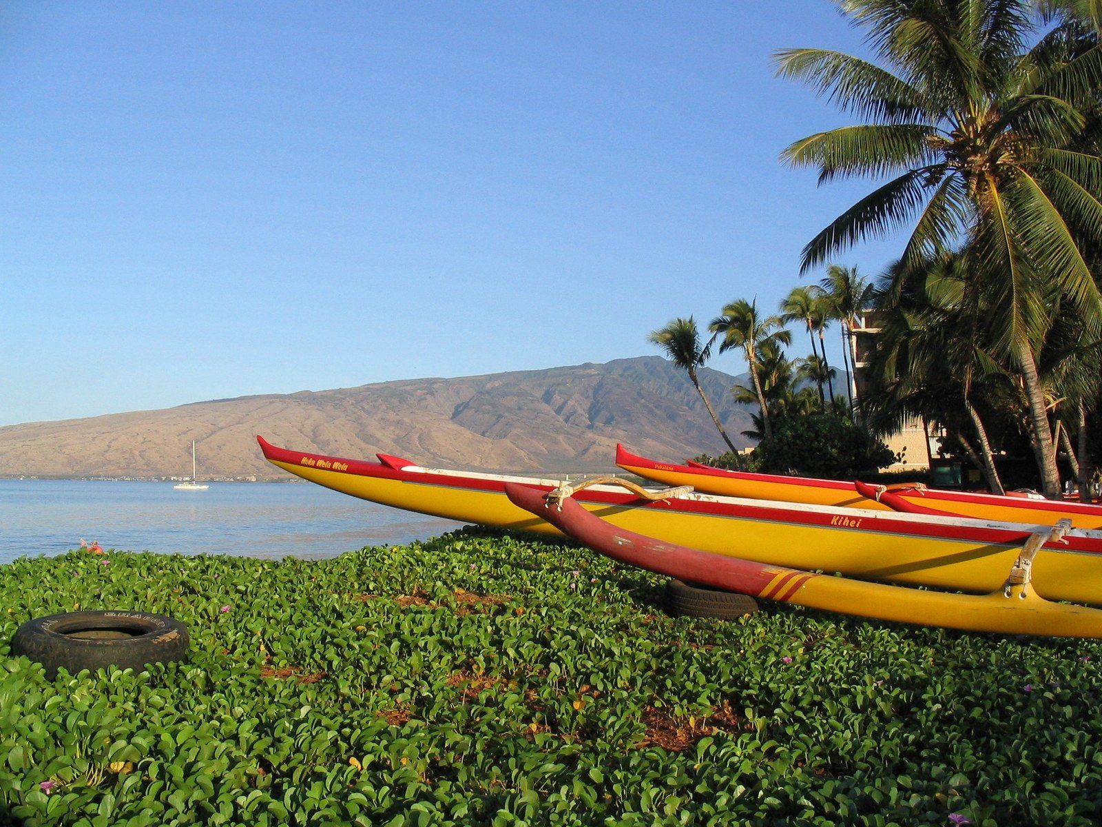 Photo 8 of Maalaea Surf Resort in Kīhei, Maui