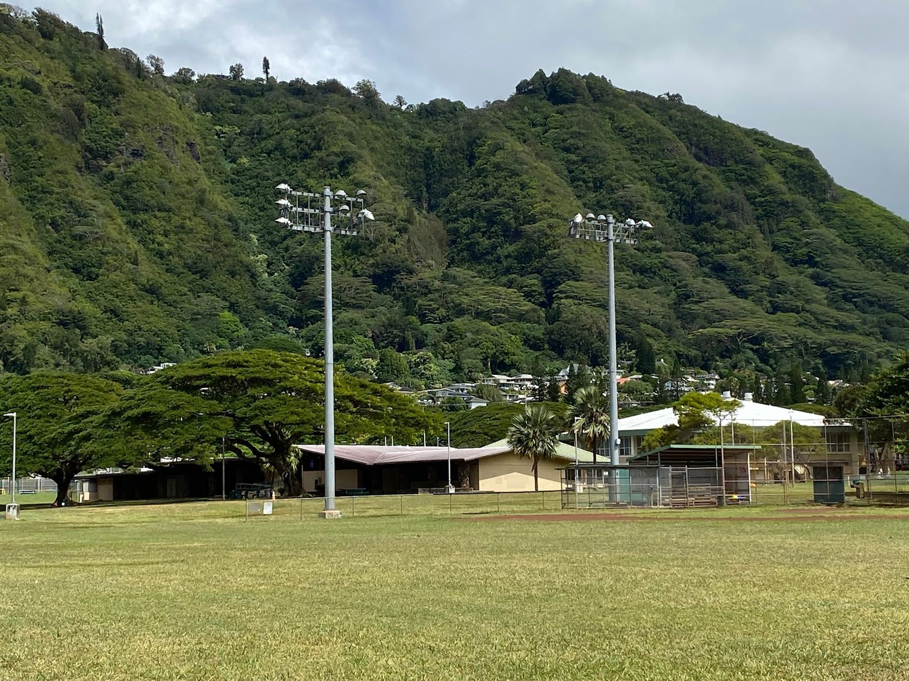 Photo 2 of Manoa Valley District Park in Mānoa, Makiki & Nuʻuanu, Oahu