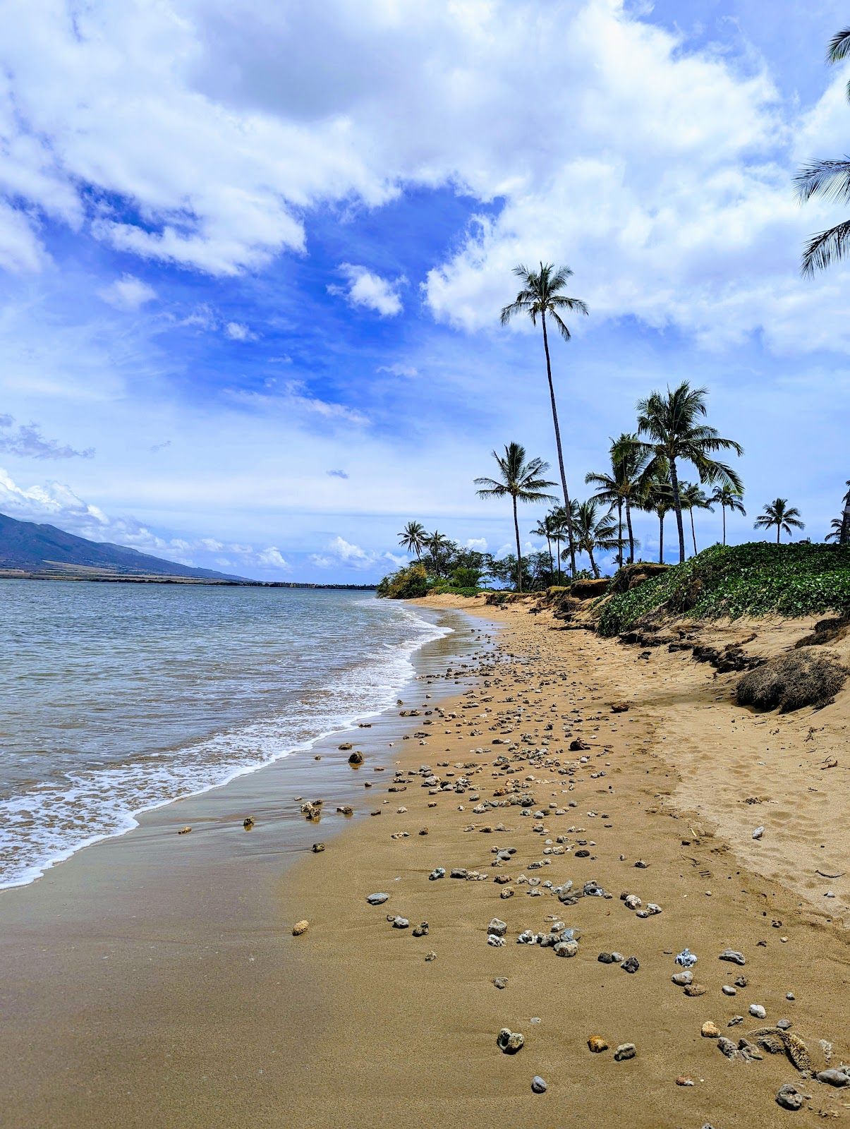 Photo 7 of Waipuilani Park in Kīhei, Maui