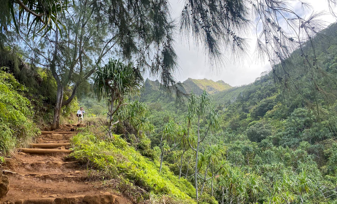 Kalalau Trail in Haena, Kaua‘i photo 5