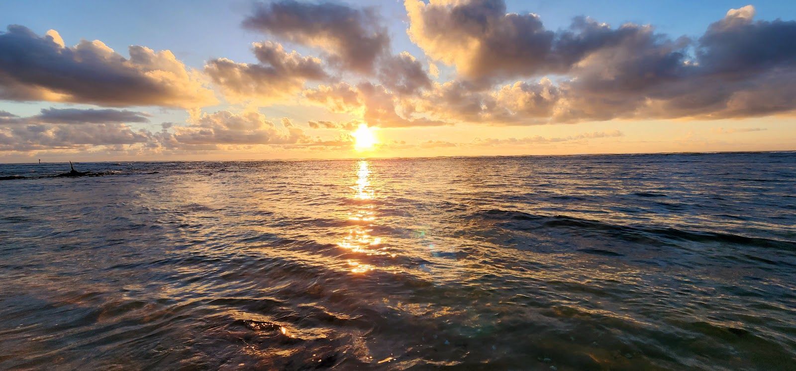Fujii Beach in Kapaʻa, Kaua‘i photo 3