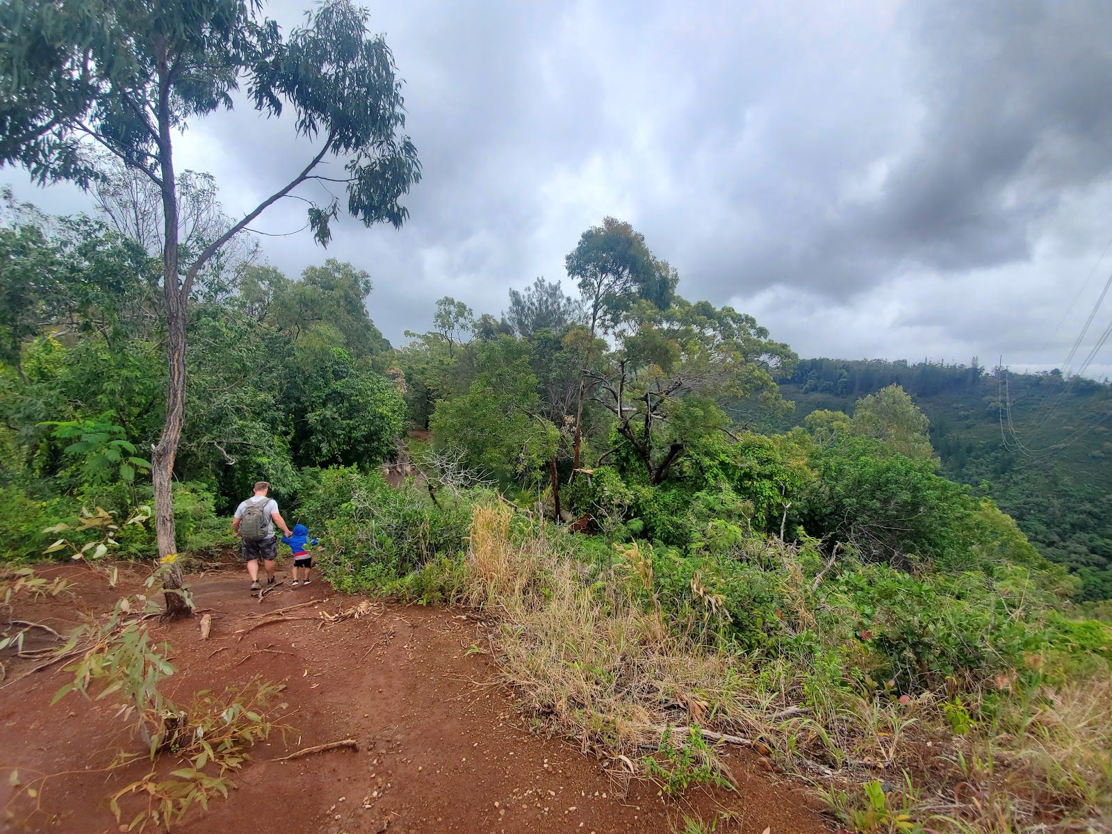 Photo 8 of Waimano Falls in Pearl City, Oahu