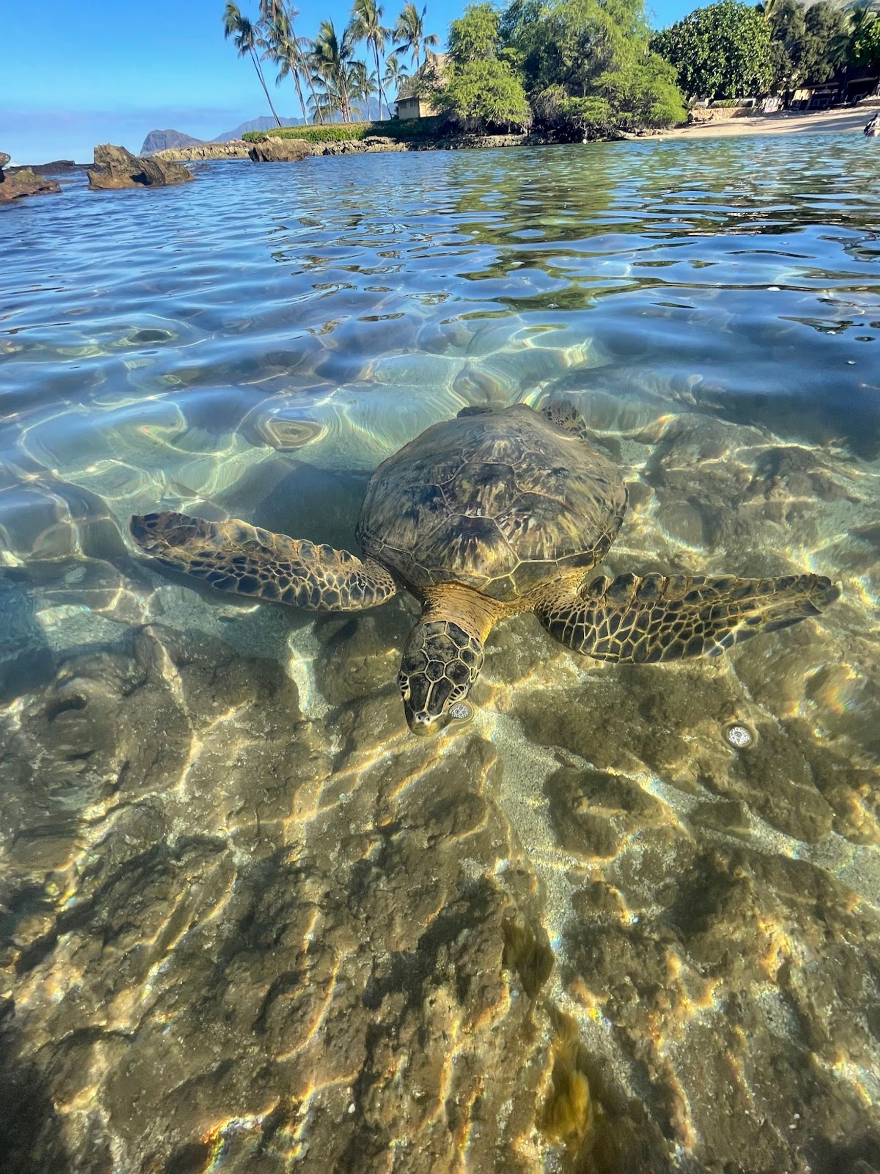 Photo 2 of Paradise Cove Public Beach in Ko Olina, Oahu