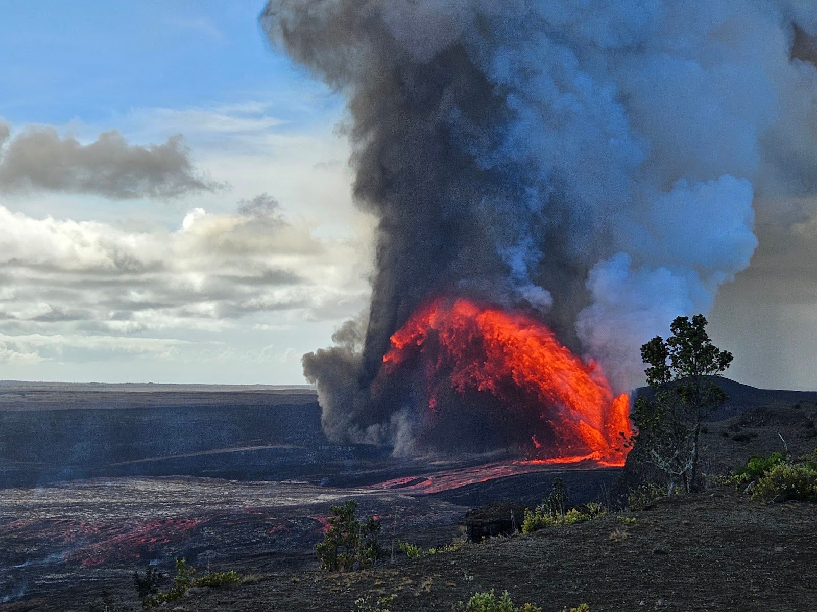 Photo 3 of Makaio Tours Hawaii in Mountain View, Big Island