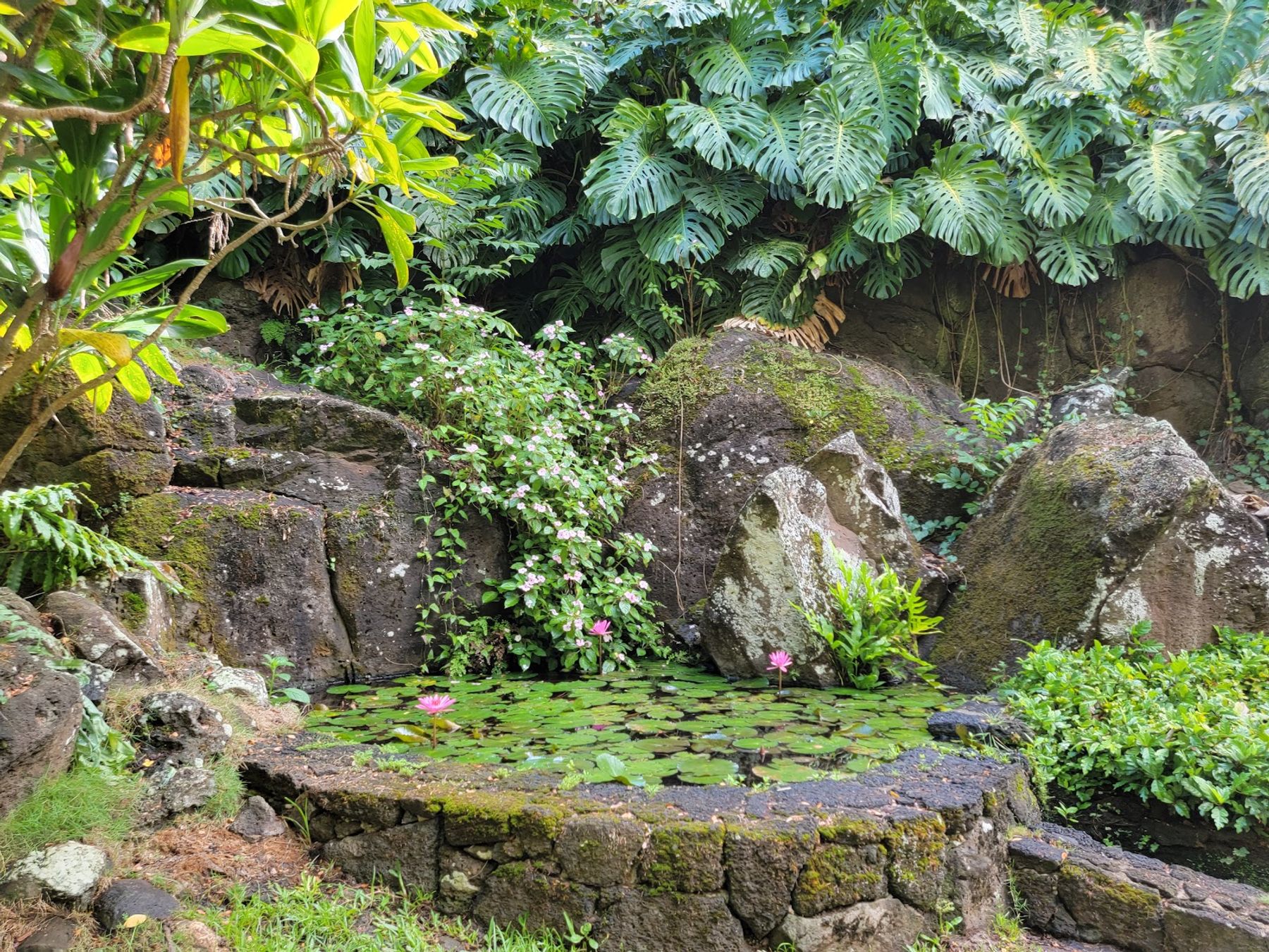 McBryde & Allerton National Tropical Botanical Garden in Poʻipū, Kaua‘i photo 5