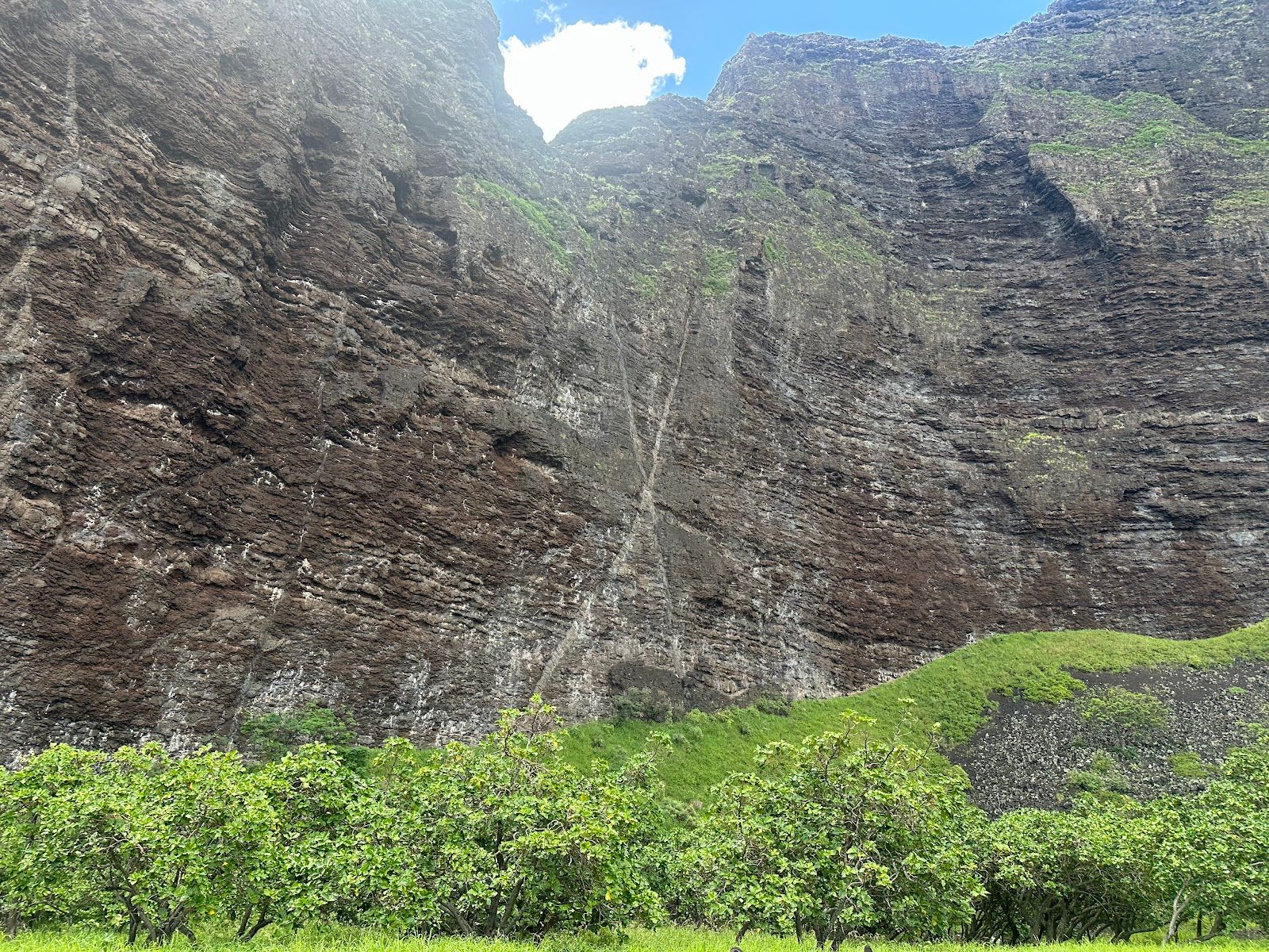 Blue Ocean Adventure Tours in Kekaha, Kaua‘i photo 5