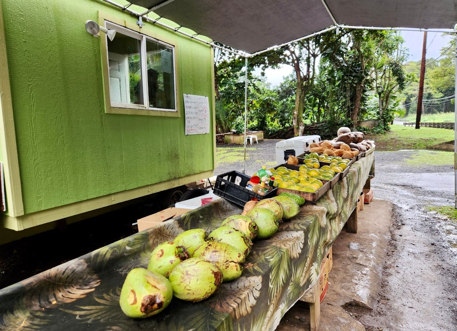 Photo 7 of Kualoa Coconut Man in Kualoa & North Windward, Oahu