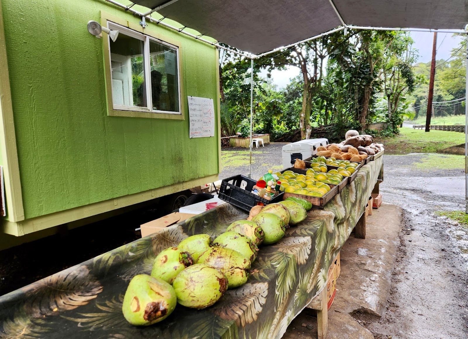 Photo 7 of Kualoa Coconut Man in Kualoa & North Windward, Oahu