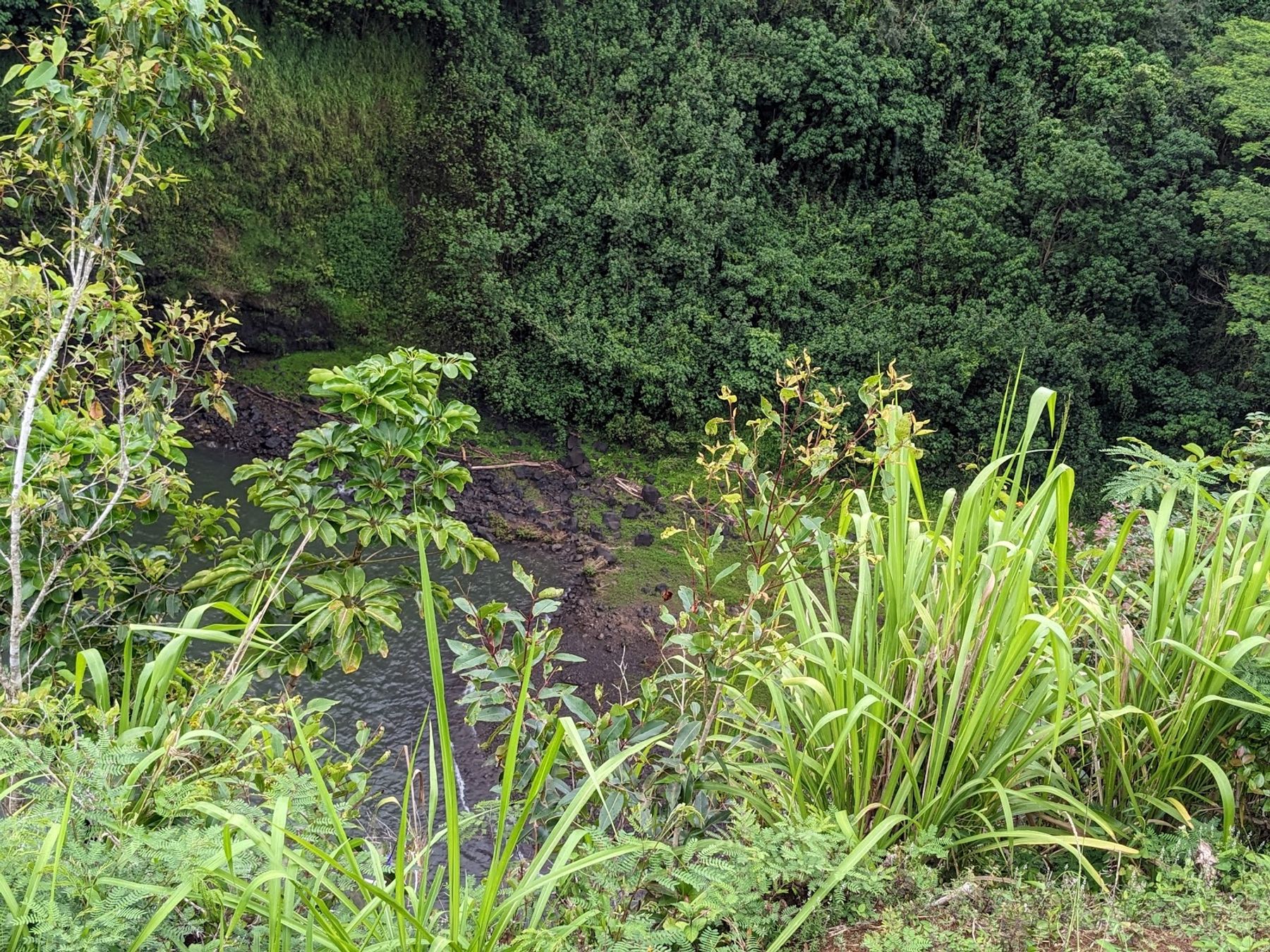 Wailua Falls in Kapaʻa, Kaua‘i photo 6