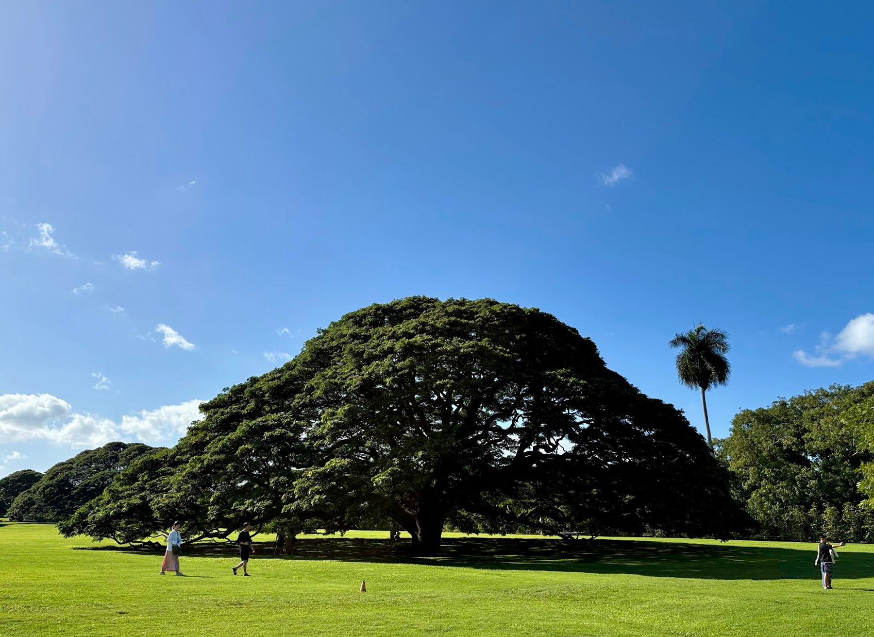 Photo 7 of Moanalua Gardens in Pearl Harbor & ʻAiea, Oahu