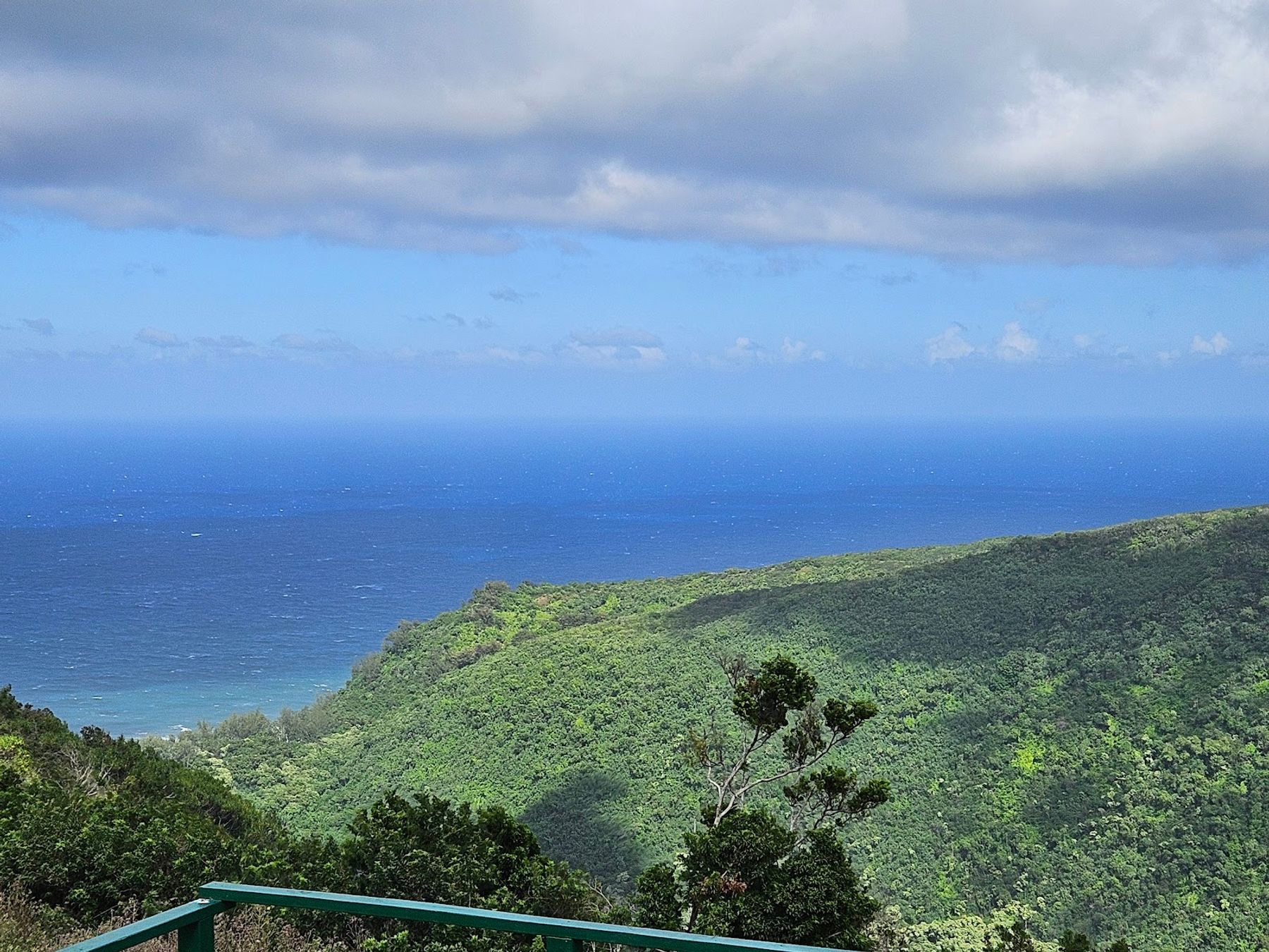Photo 4 of Kohala UTV Adventure in North Kohala, Big Island