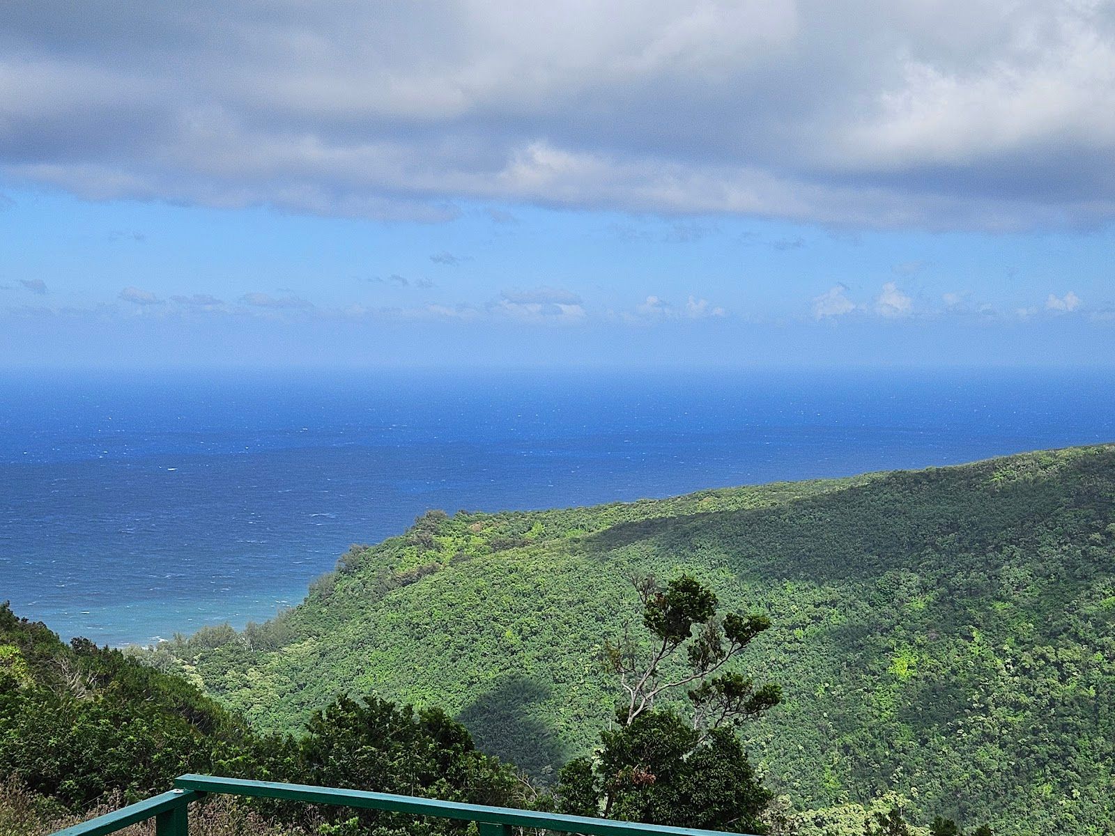Photo 4 of Kohala UTV Adventure in North Kohala, Big Island