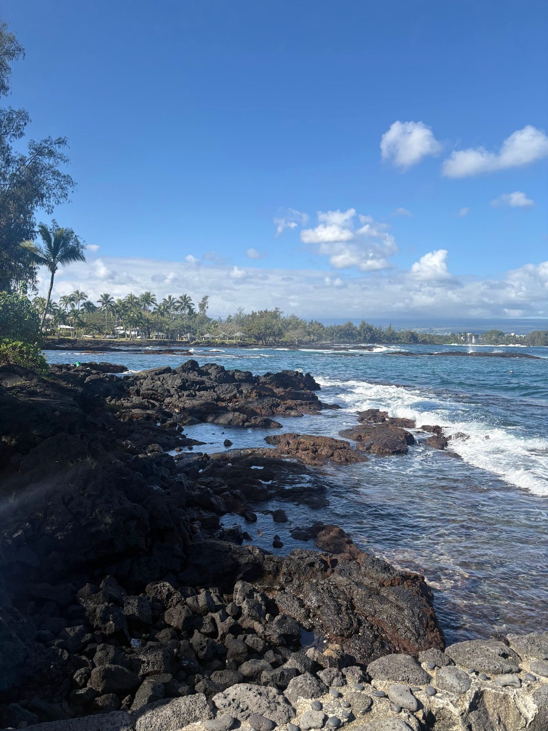 Photo 3 of C Big Island Tours in Hilo, Big Island
