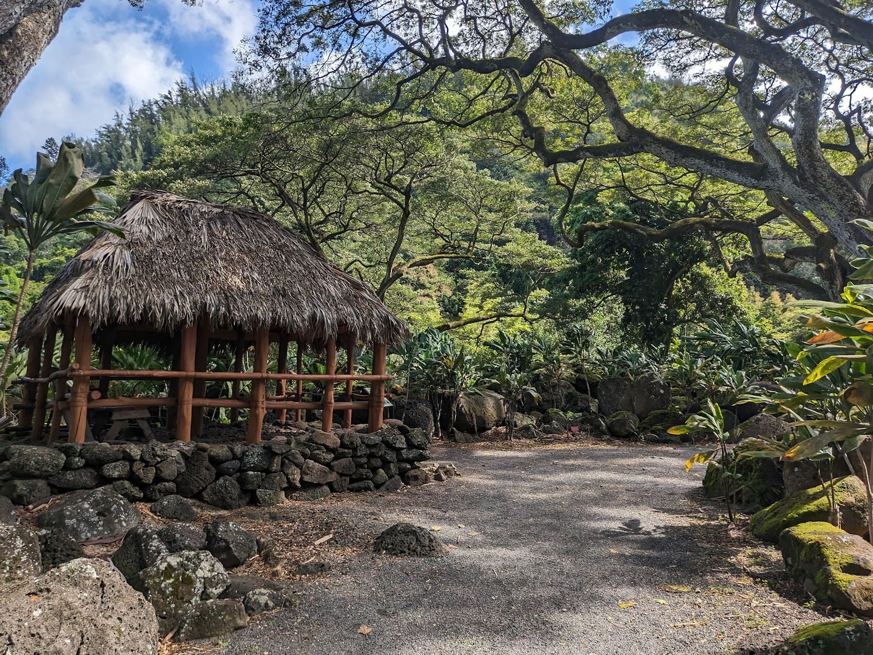 Photo 8 of Waimea Valley in Pūpūkea, Oahu