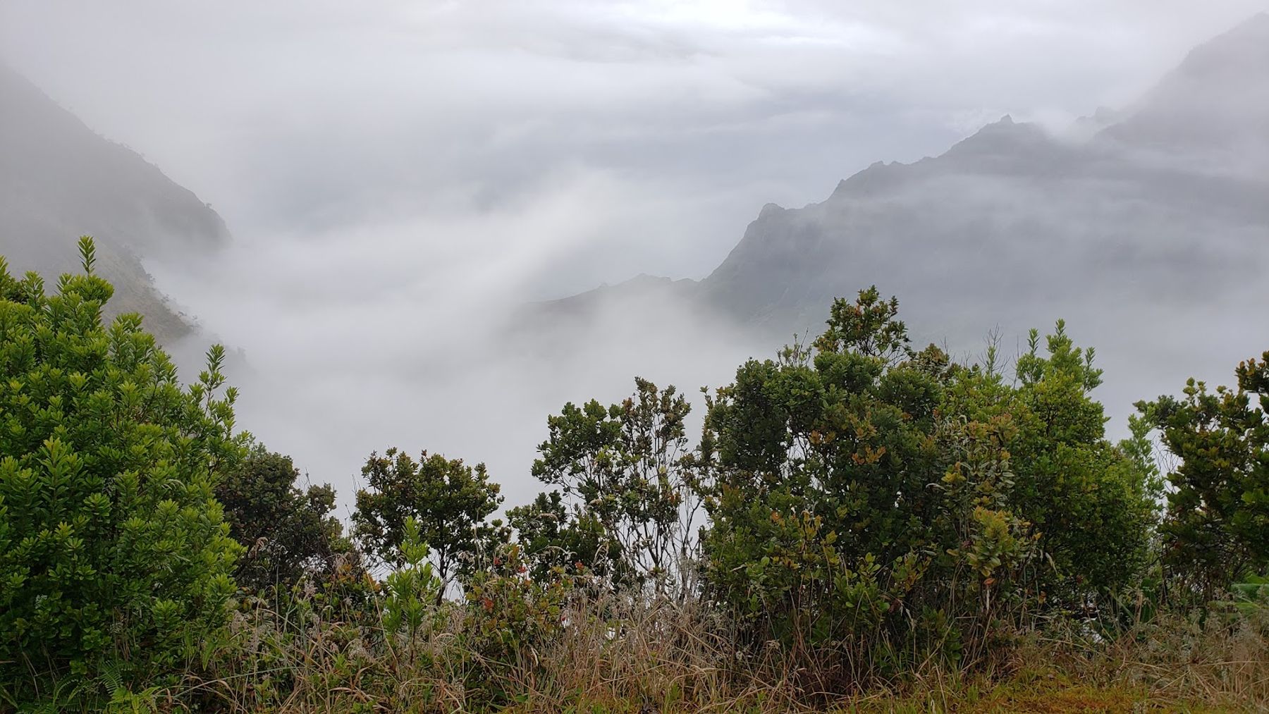Pu’u Hinahina Lookout in Waimea, Kaua‘i photo 3