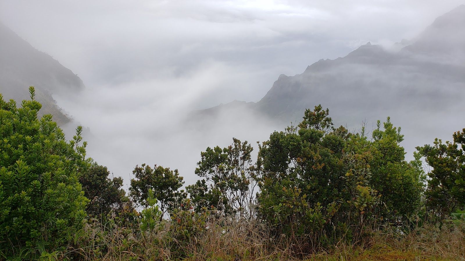 Pu’u Hinahina Lookout in Waimea, Kaua‘i photo 3