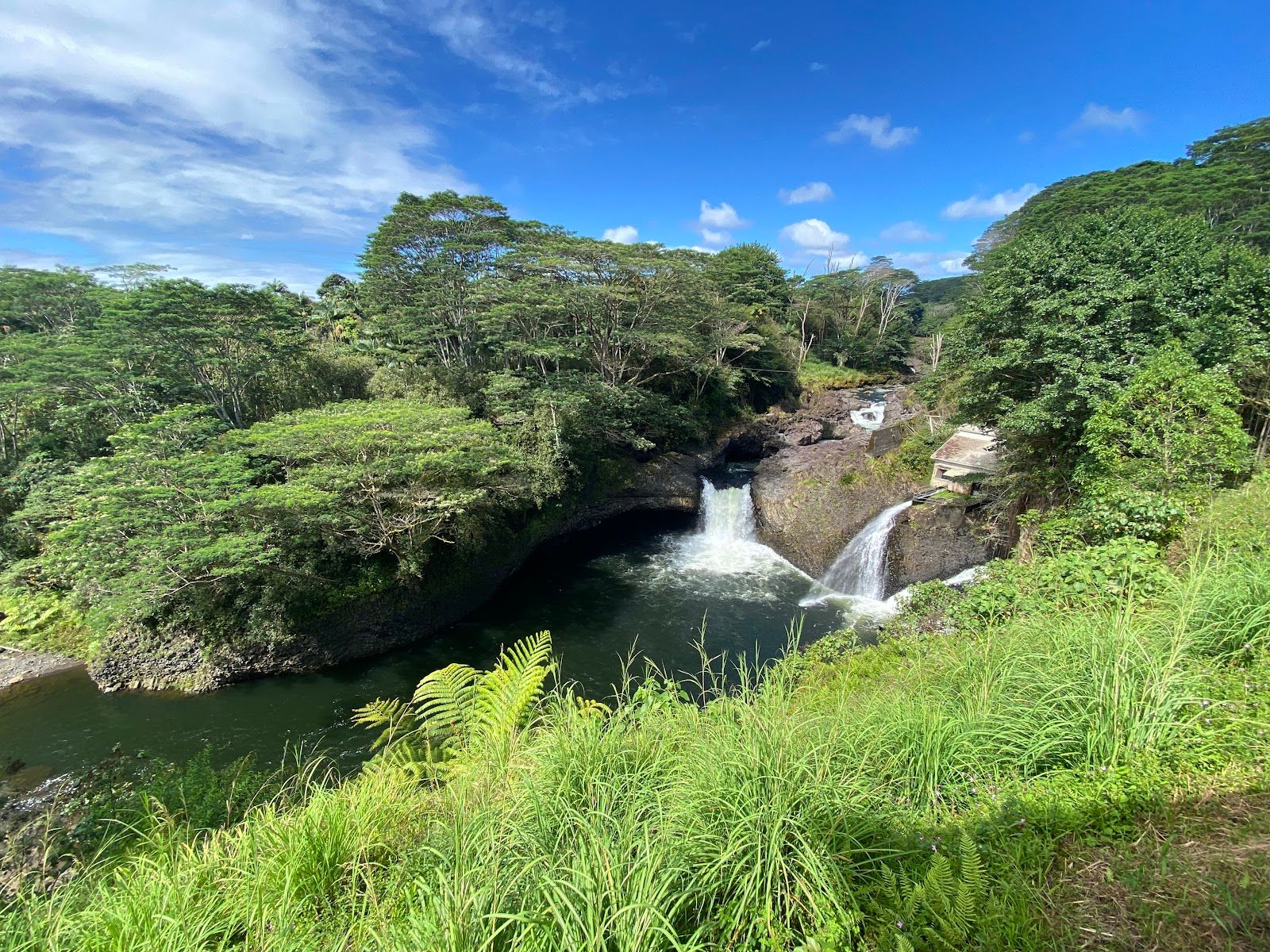 Photo 6 of O.K. Farms Hawai'i in Hilo, Big Island