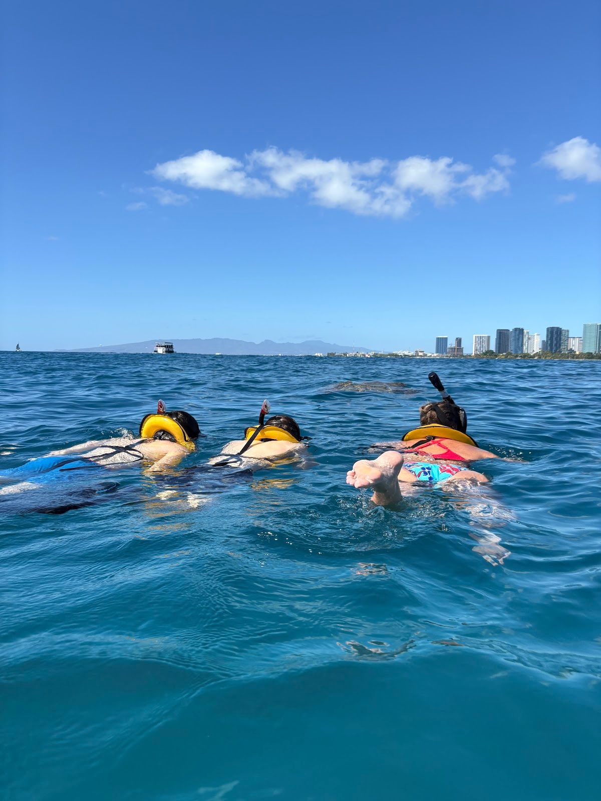 Photo 10 of Living Ocean Tours in Ala Moana & Mōʻiliʻili, Oahu