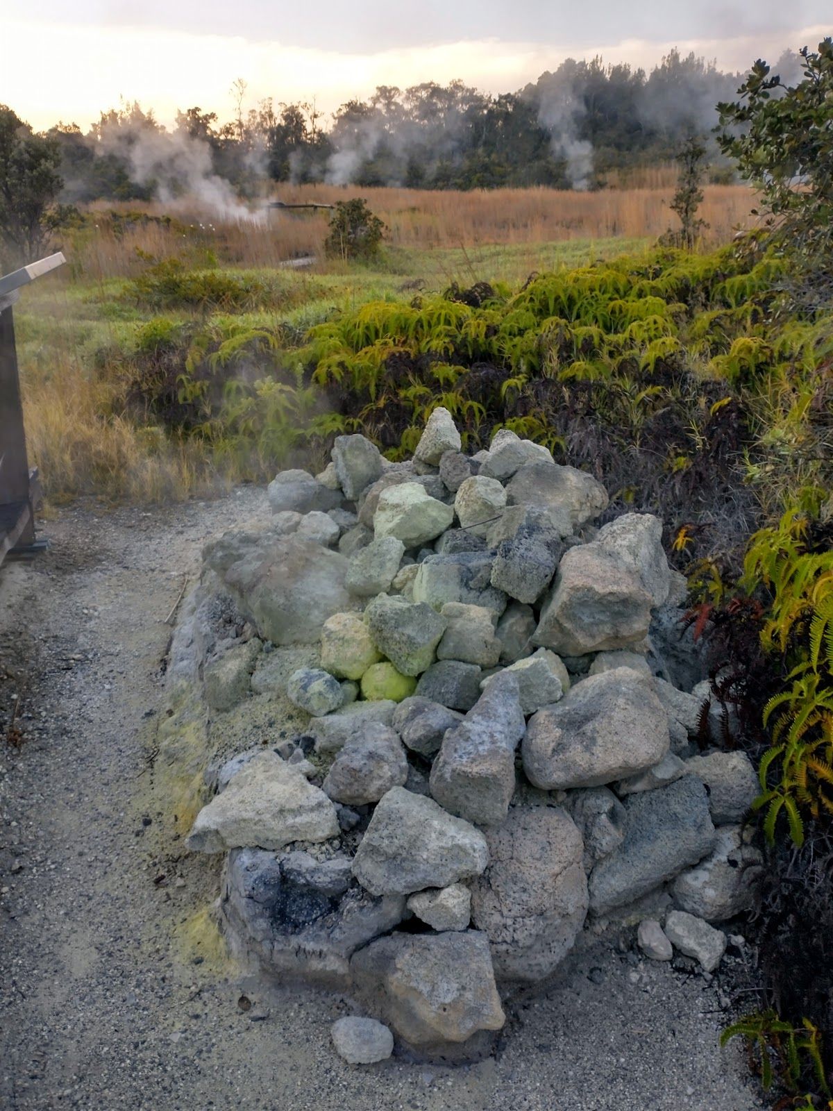 Photo 5 of Haʻakulamanu Sulphur Banks in Volcano, Big Island