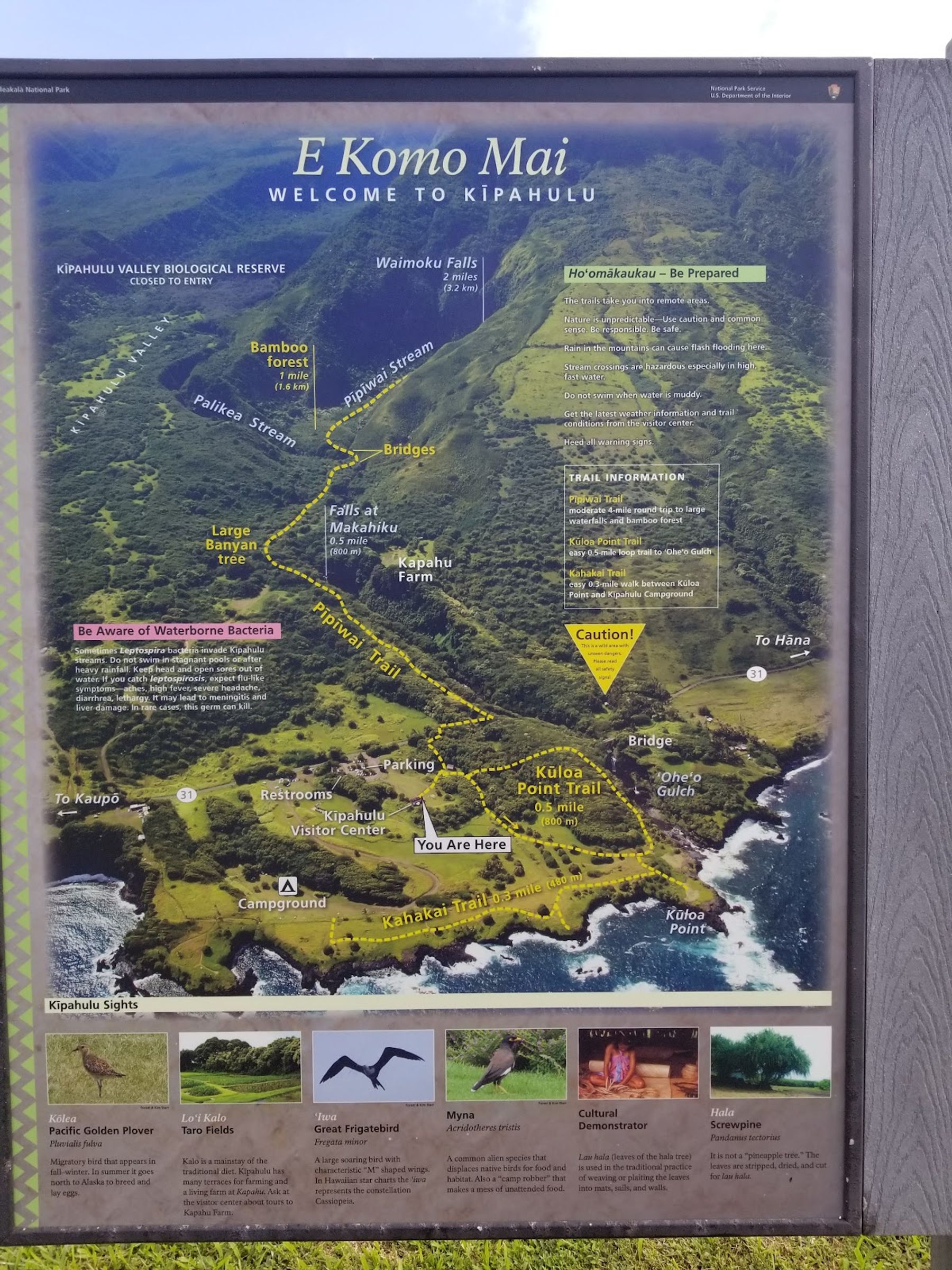 Photo 8 of Waimoku Falls in Kīpahulu & Kaupō, Maui