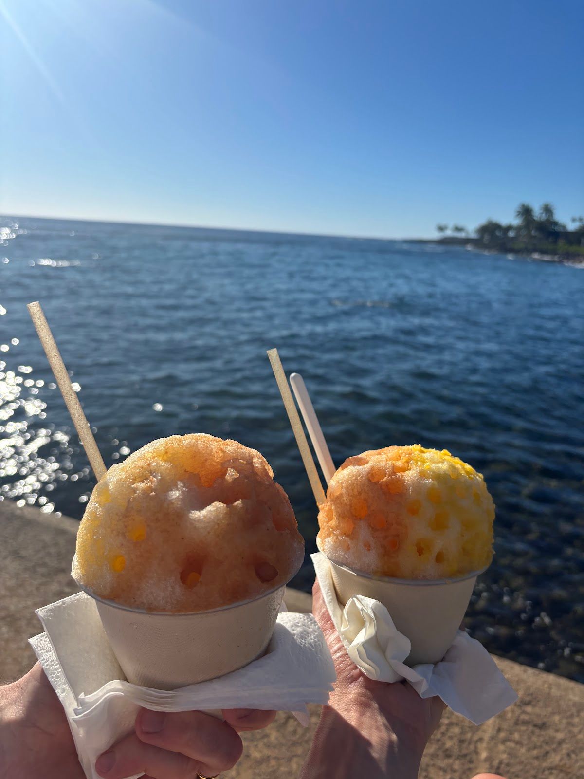 Photo 7 of Riptides Shave Ice & Snacks Kauai in Poʻipū, Kauai