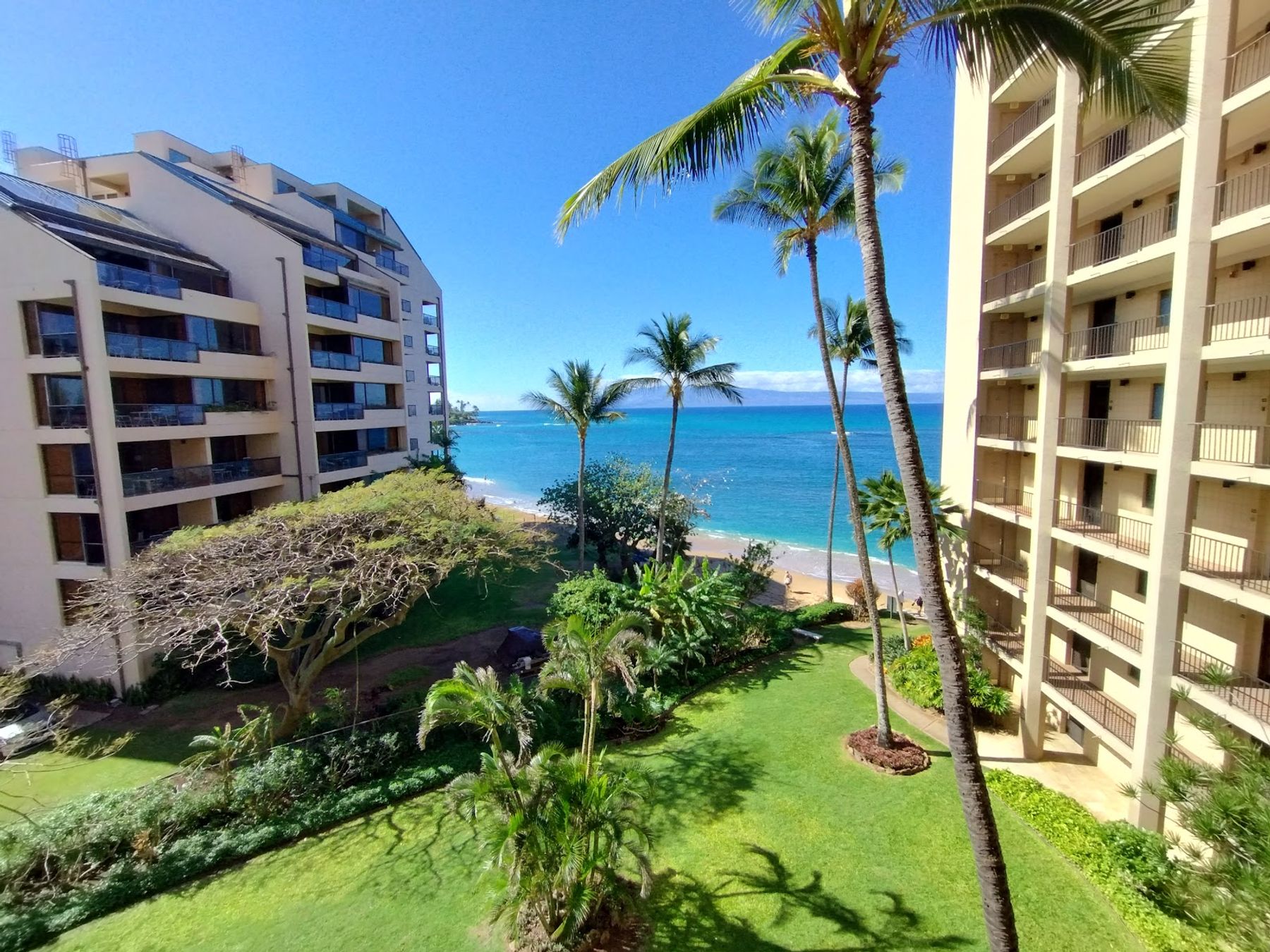 Photo 5 of Valley Isle Resort in Kapalua, Maui