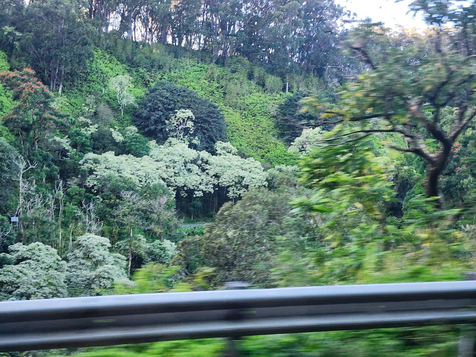 The Most Beautiful Scenic Drives on Maui