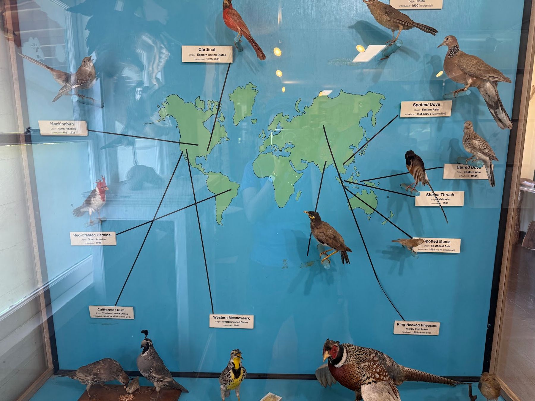 Koke'e Natural History Museum in Waimea, Kaua‘i photo 4