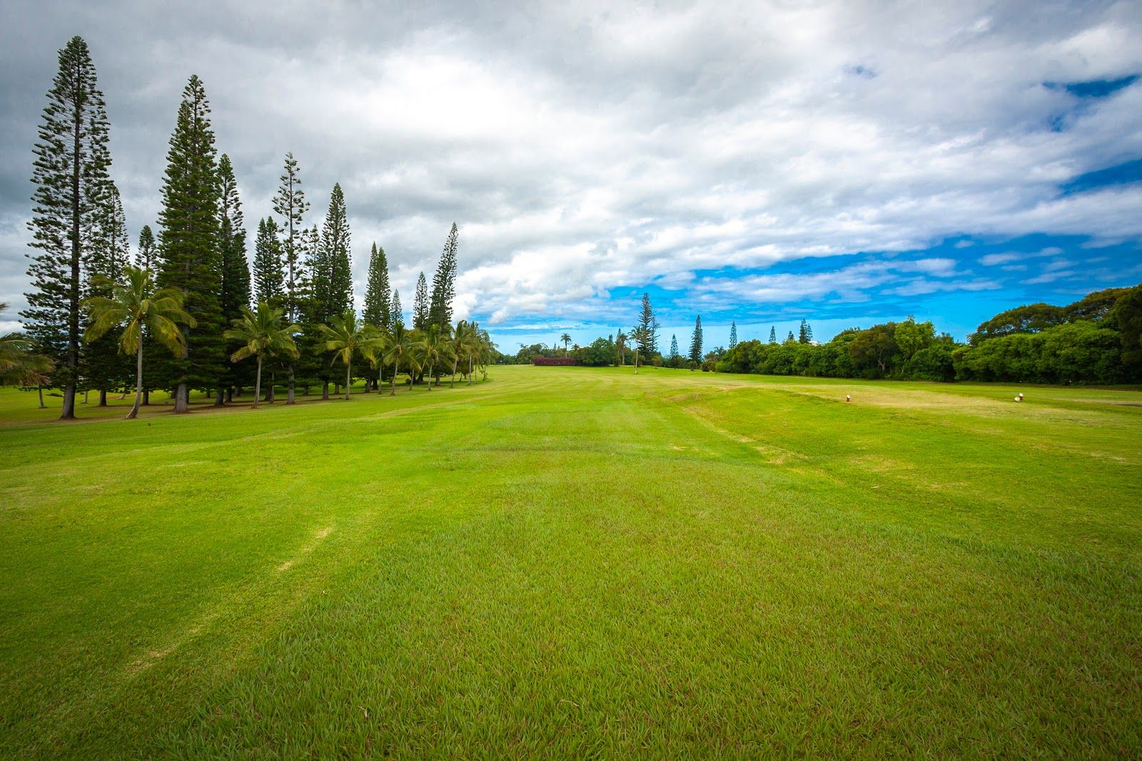 Kukuiolono Park & Golf Course in Kalaheo, Kaua‘i photo 4