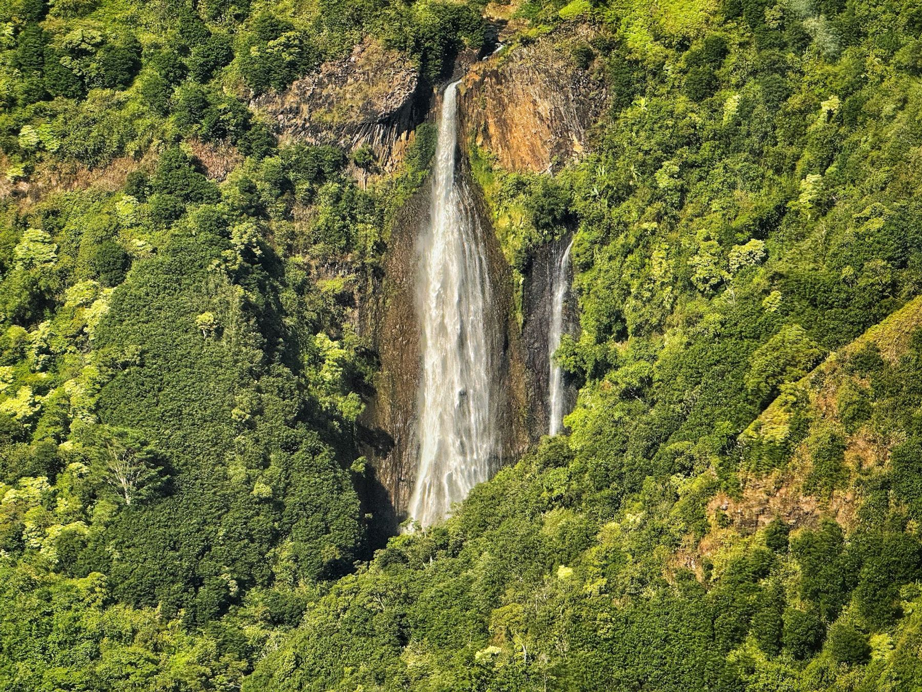 Blue Hawaiian Helicopters in Lihue, Kaua‘i photo 5