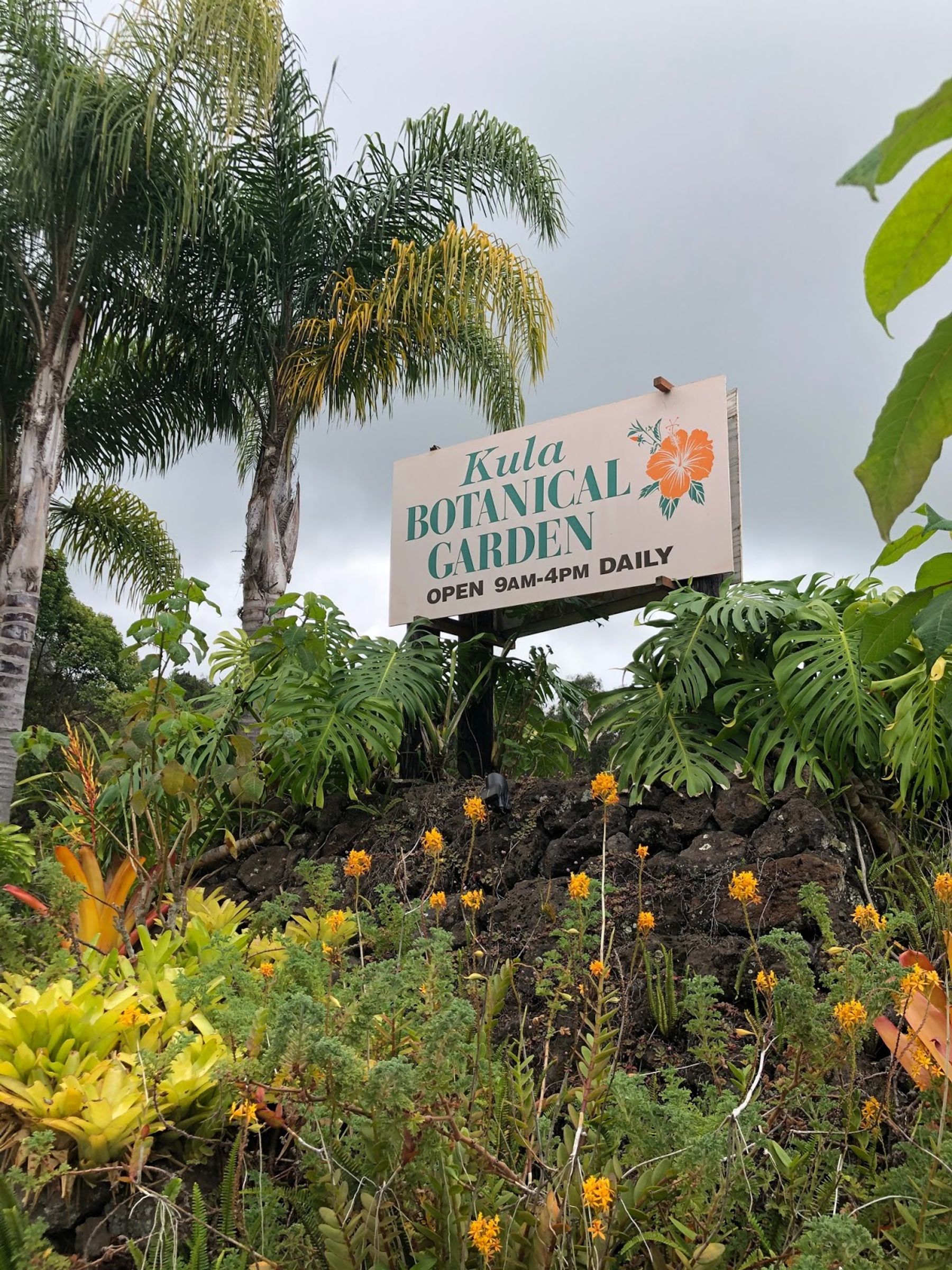Photo 1 of Kula Botanical Garden in Kula, Maui