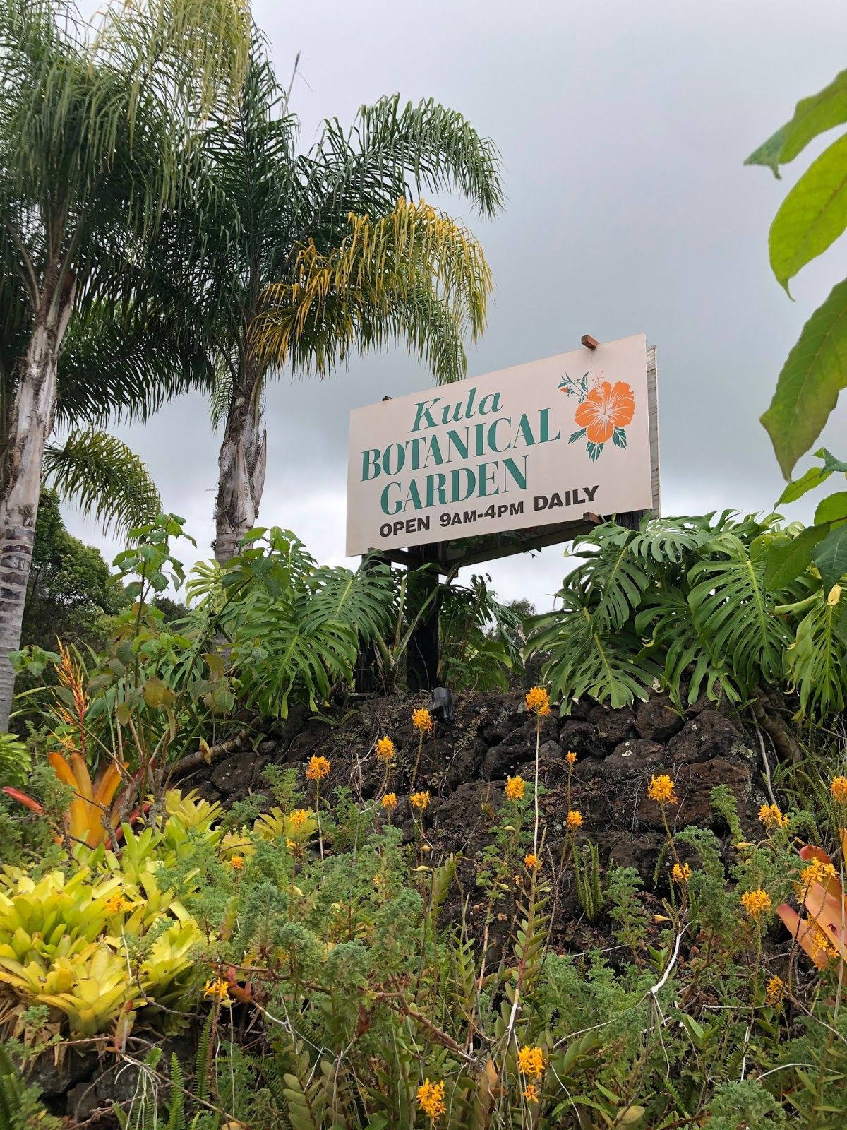 Photo 1 of Kula Botanical Garden in Kula, Maui