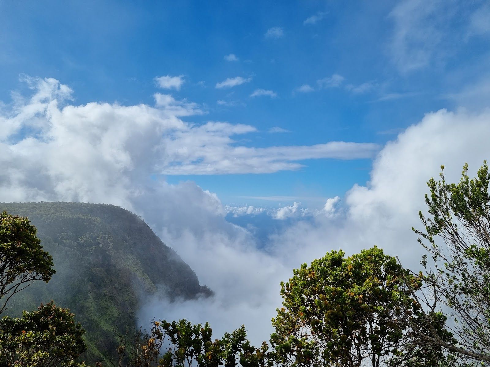 Hanapepe Valley Lookout in Kalaheo, Kaua‘i photo 4