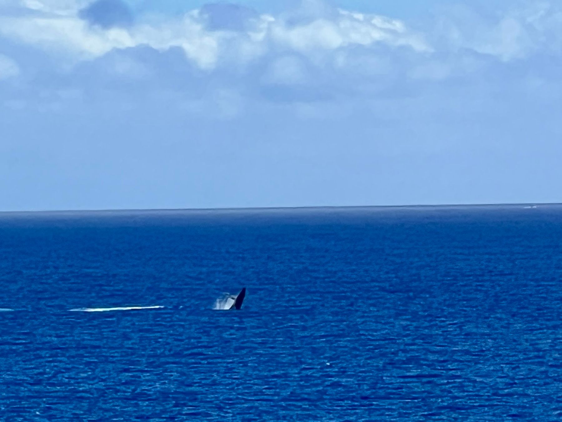 Photo 3 of Papawai Scenic Lookout in Māʻalaea, Maui