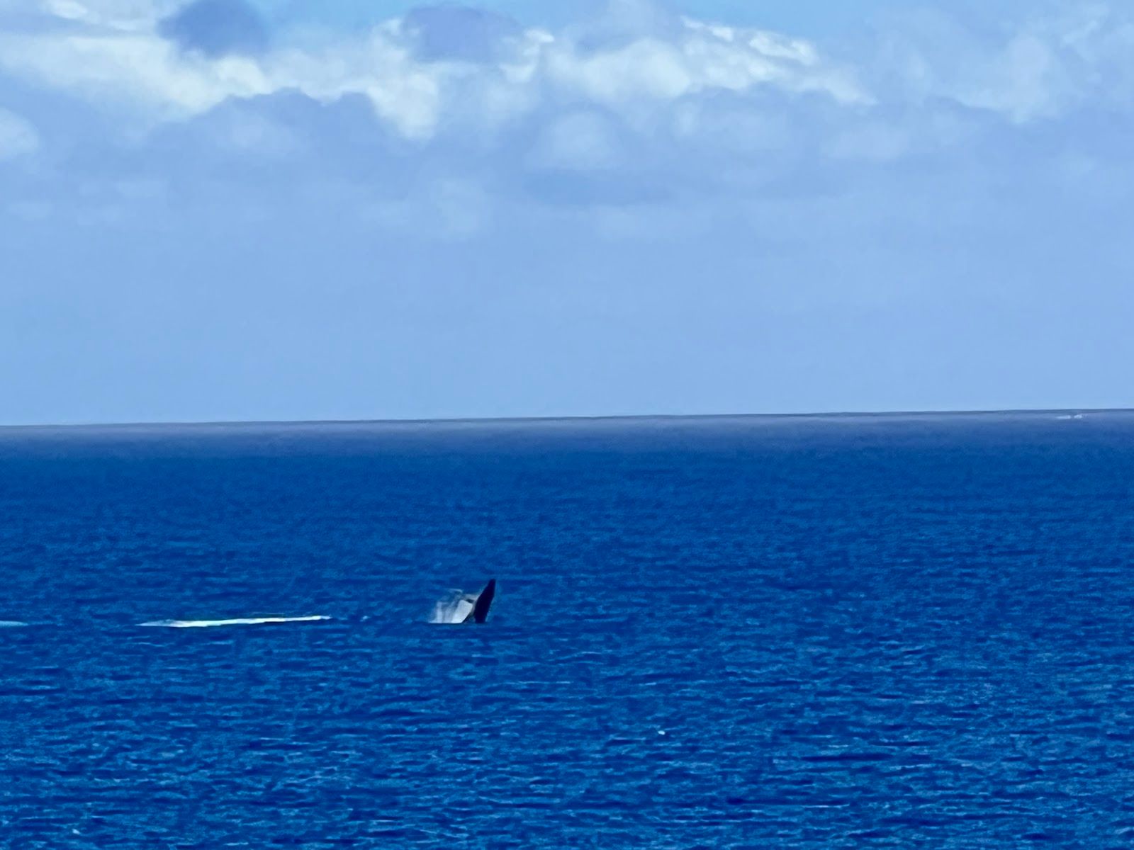 Photo 3 of Papawai Scenic Lookout in Māʻalaea, Maui