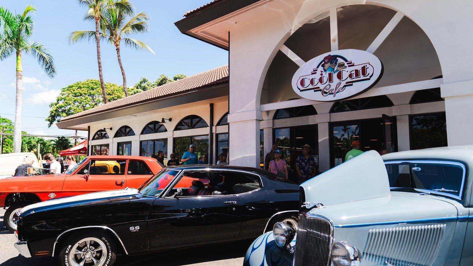 Photo 1 of Cool Cat Cafe Kihei in Kīhei, Maui