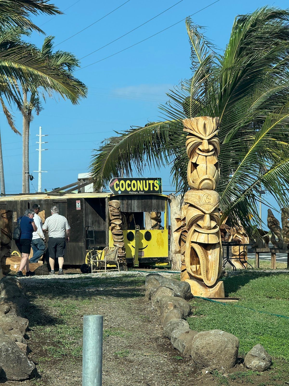 Photo 7 of The Coconut Inc in Māʻalaea, Maui