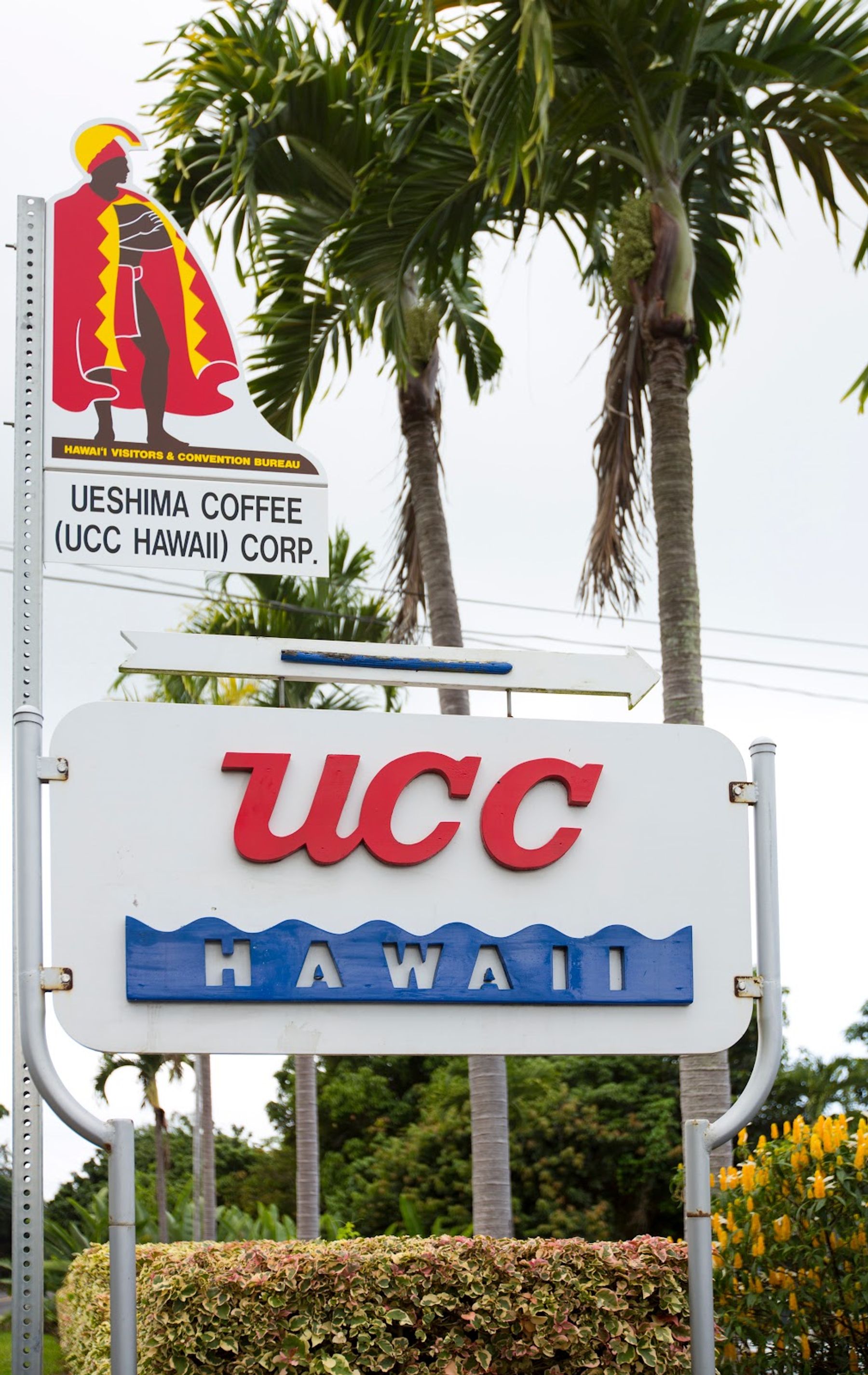 Photo 3 of UCC Hawaii in Hōlualoa, Big Island