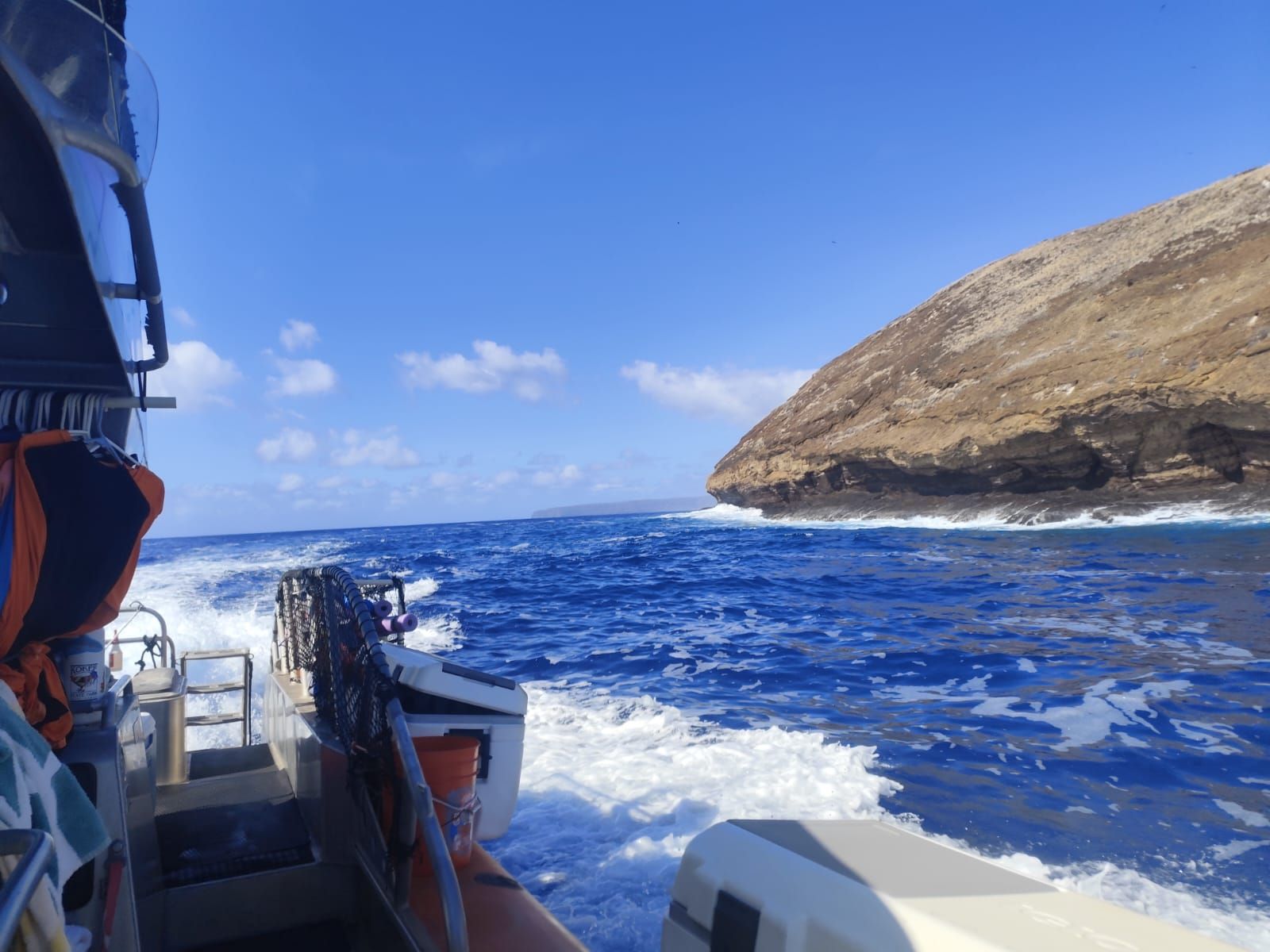 Photo 5 of Seafire Charters in Wailea, Maui