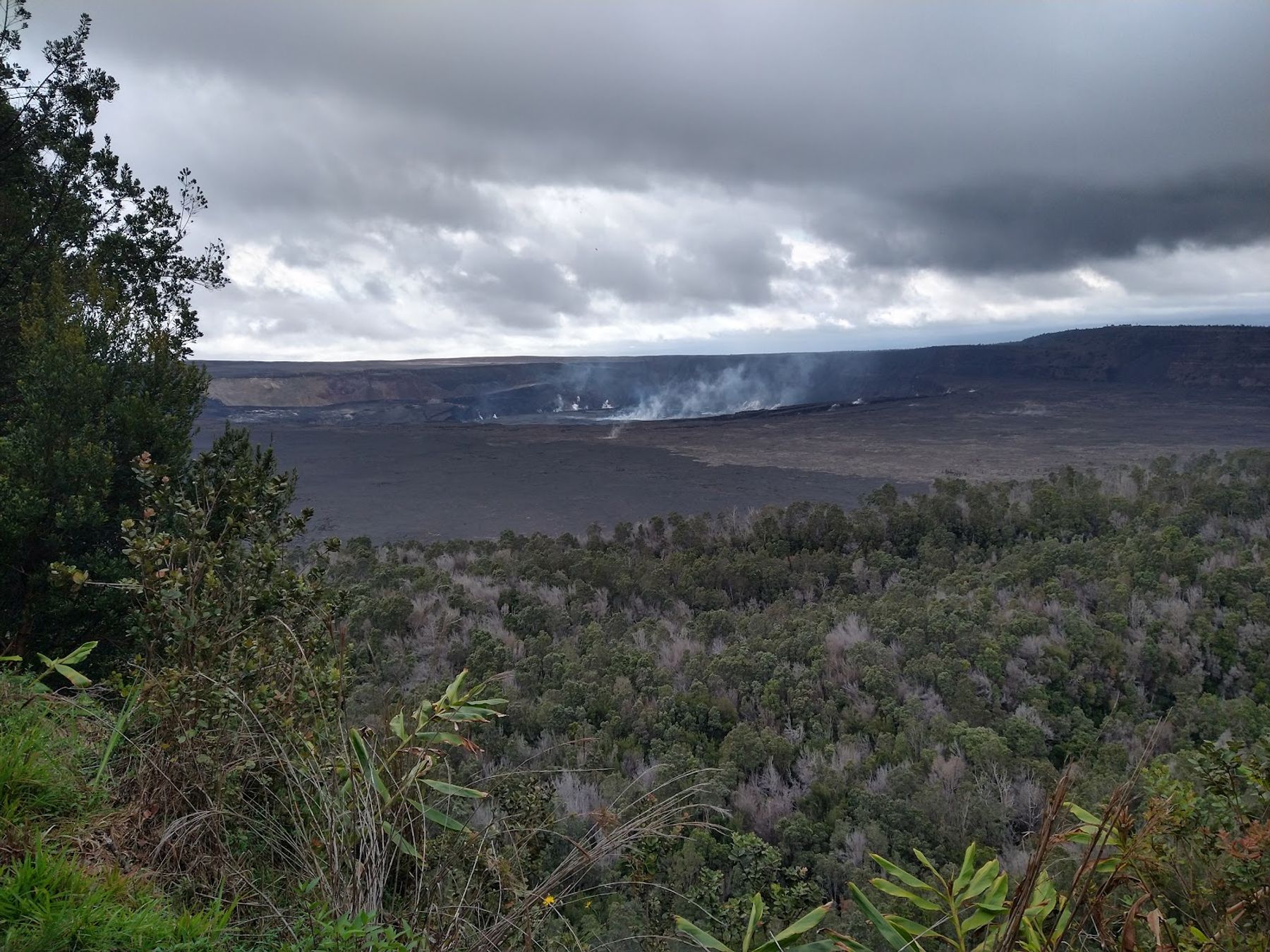 Photo 1 of Byron Ledge Trail in Volcano, Big Island