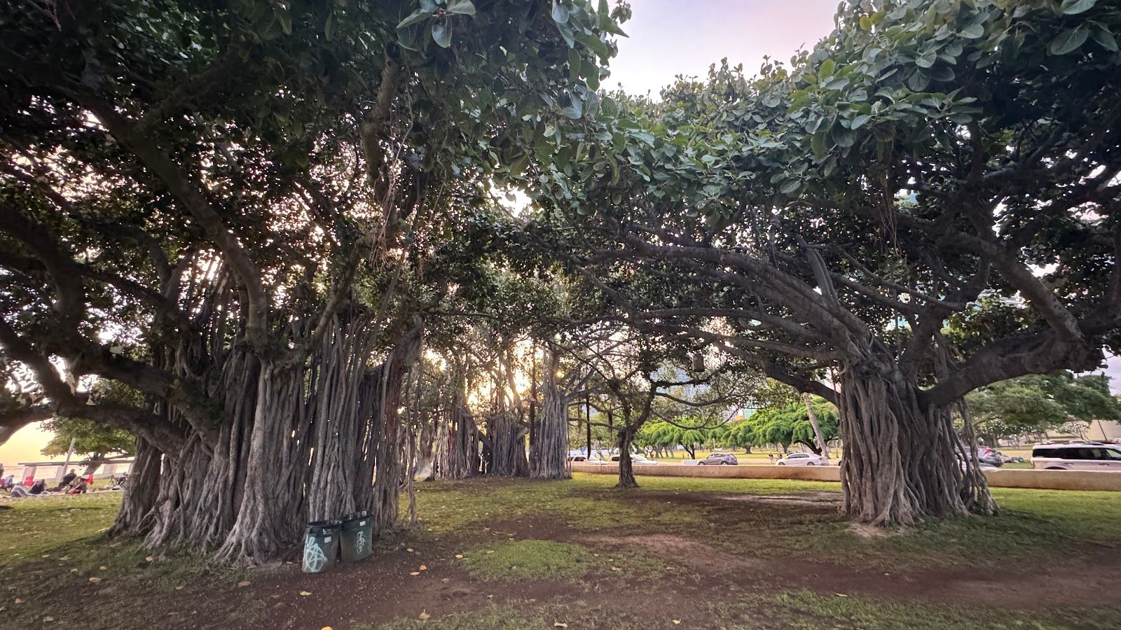 Photo 9 of Ala Moana Beach in Ala Moana & Mōʻiliʻili, Oahu