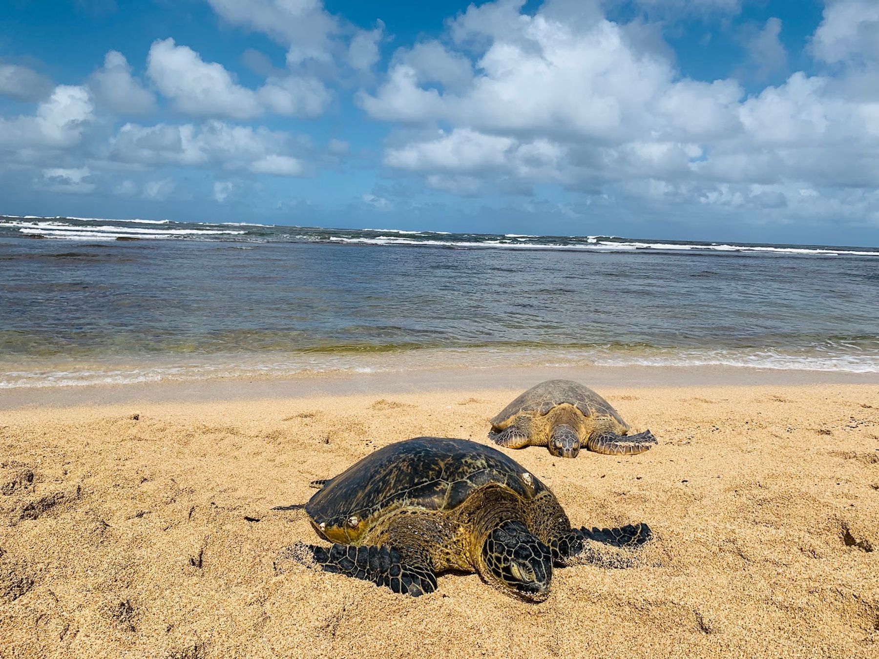 Photo 2 of Haleʻiwa Aliʻi Beach Park in Haleʻiwa, Oahu
