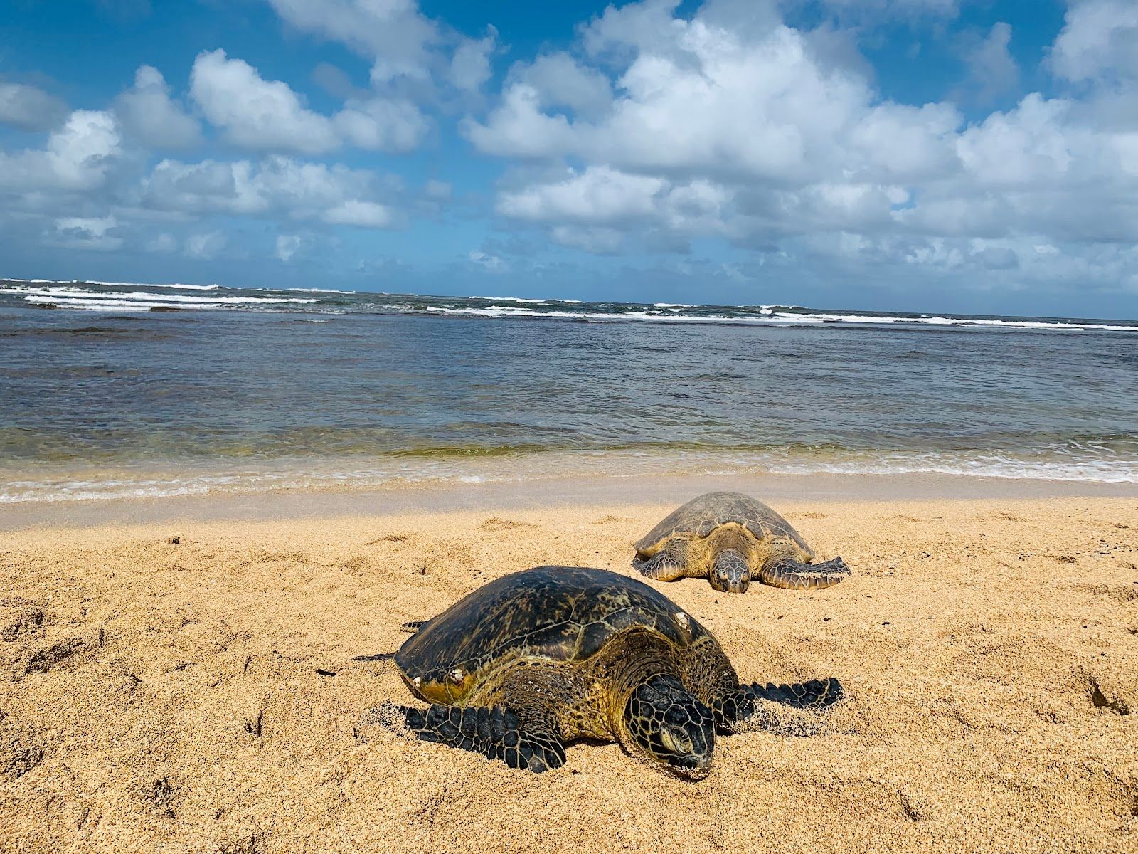Photo 2 of Haleʻiwa Aliʻi Beach Park in Haleʻiwa, Oahu