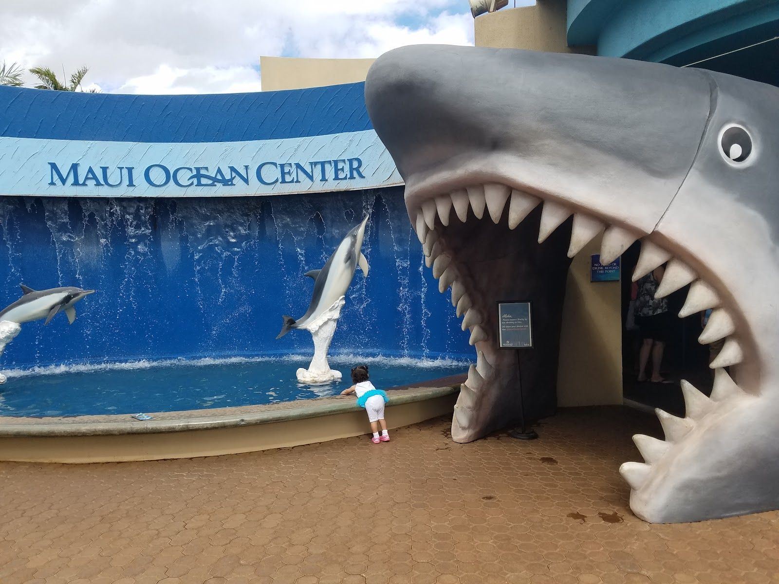 Photo 2 of Maui Ocean Center, The Aquarium of Hawaii in Māʻalaea, Maui