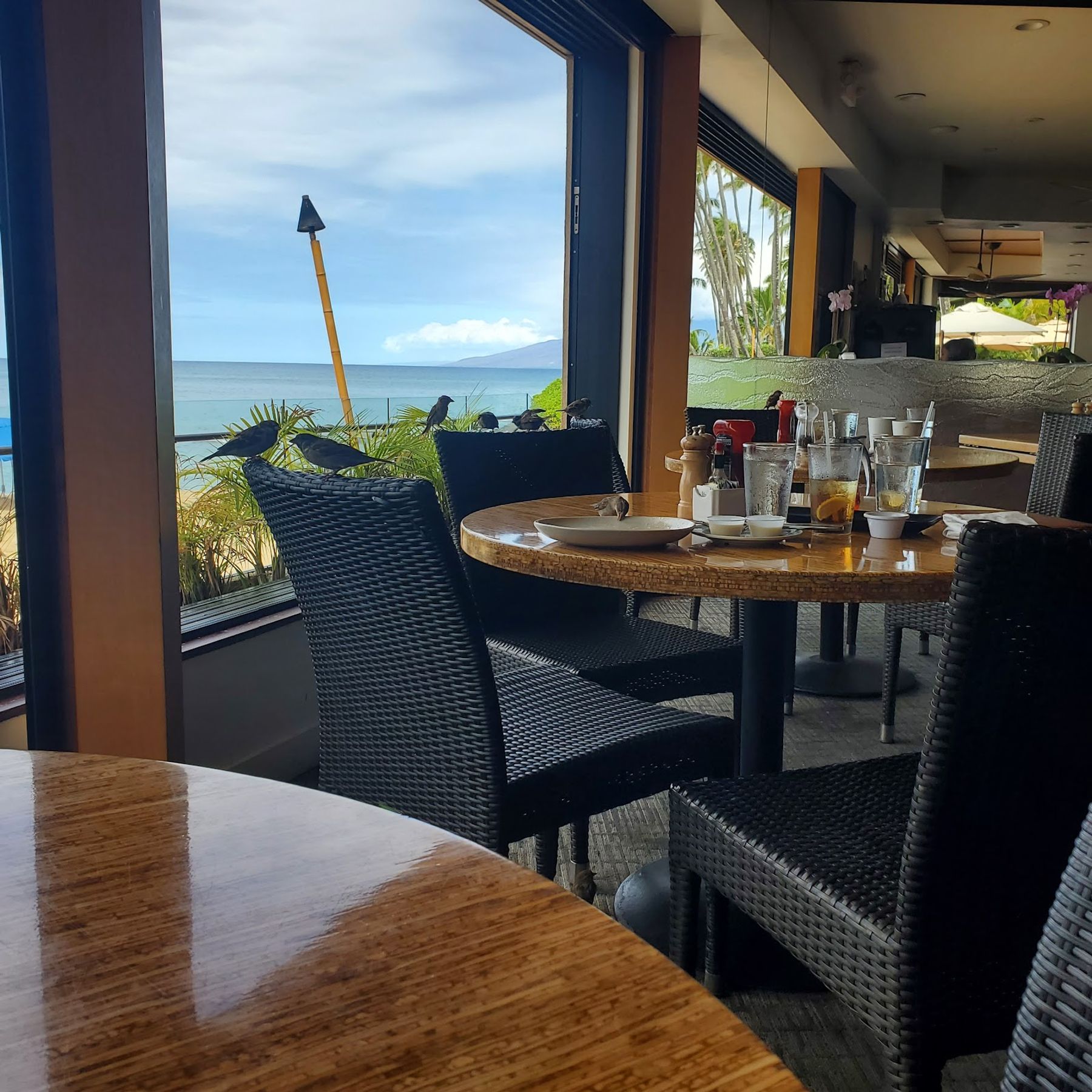 Photo 6 of Sea House Restaurant in Kapalua, Maui